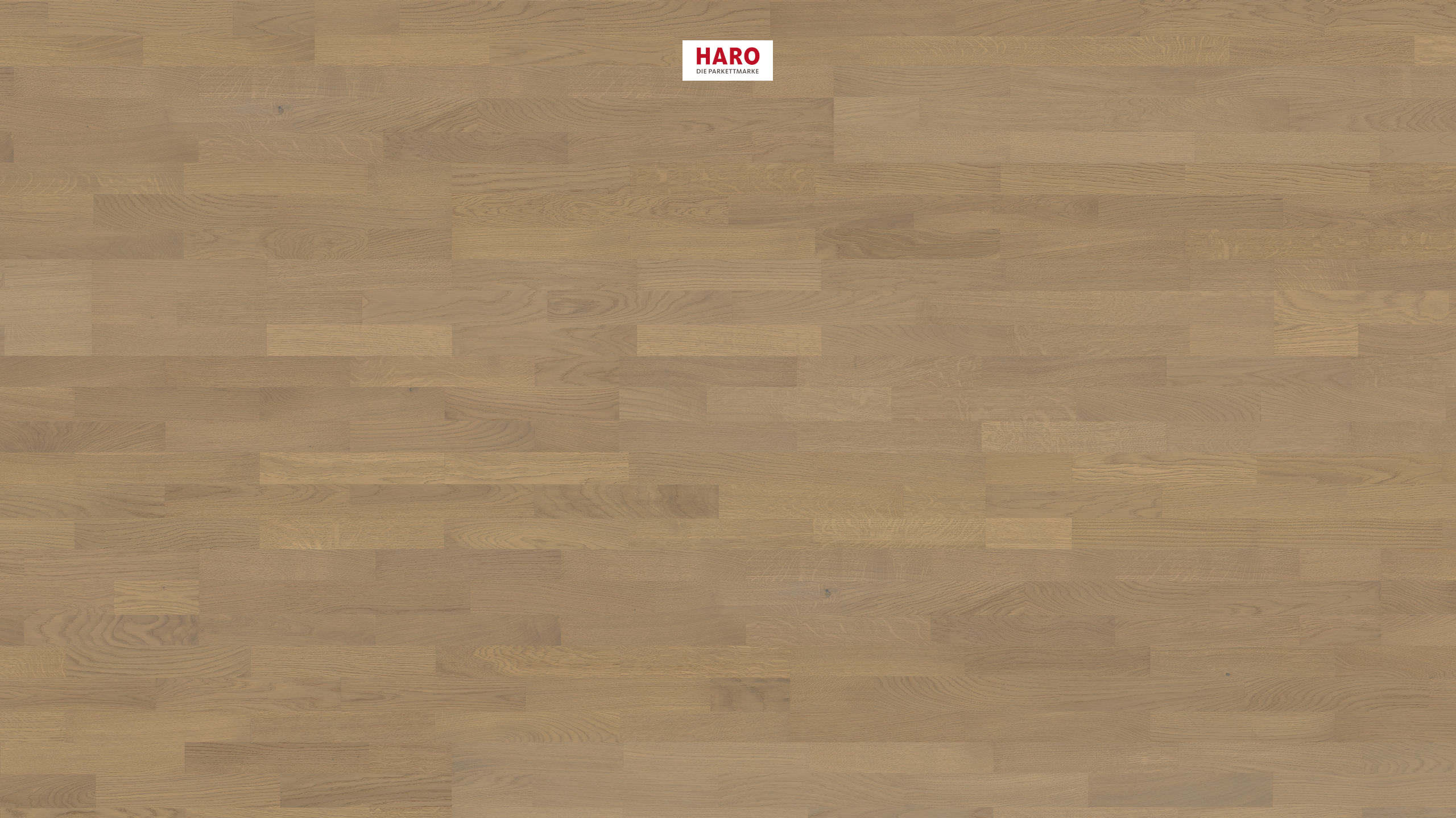 HARO PARKETT 4000 Schiffsboden Eiche sandgrau Naturale strukturiert naturaLin plus Top Connect