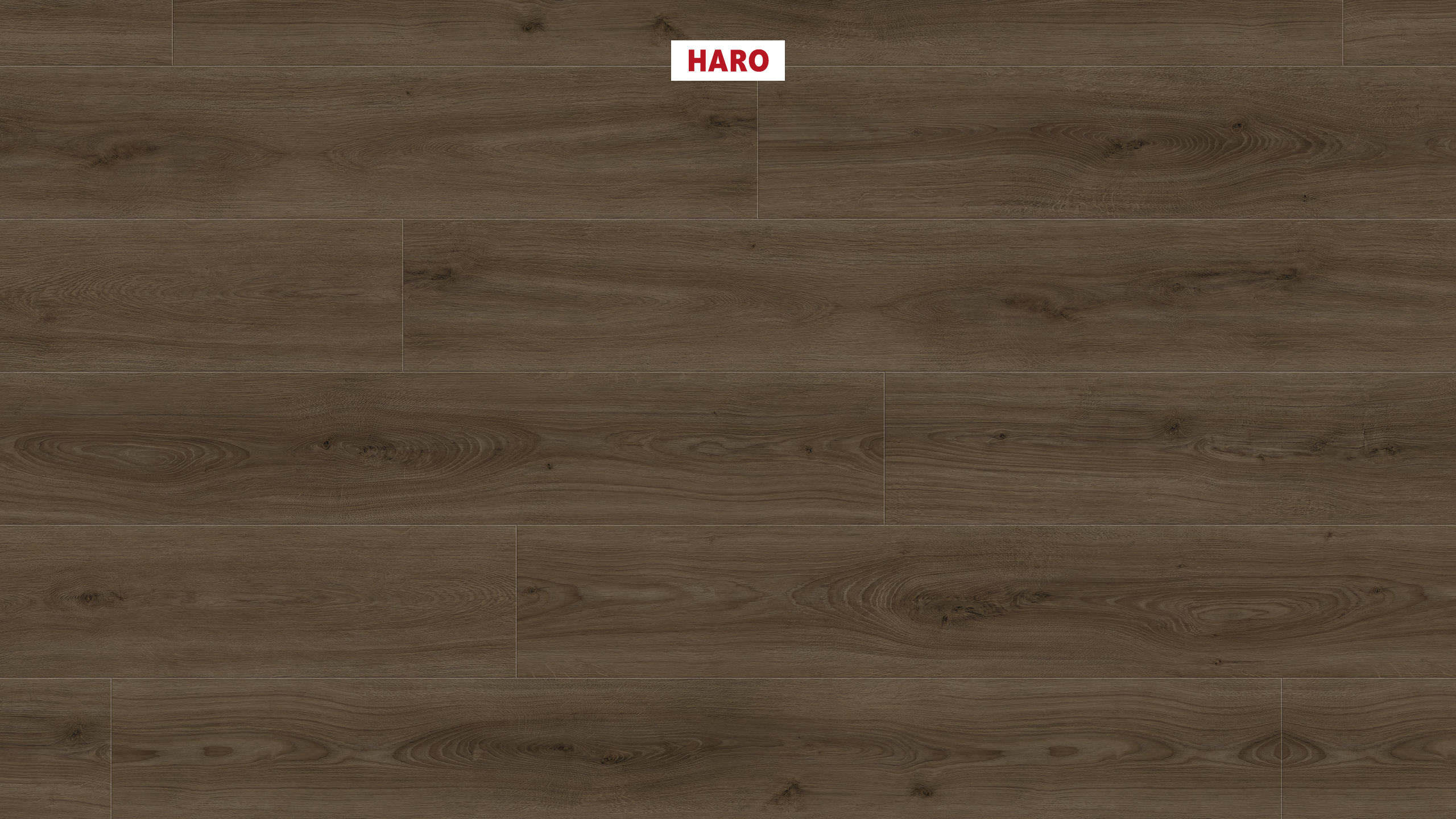 DISANO by HARO LifeAqua Landhausdiele XL 4V Eiche Sheffield braun* authentic Top Connect