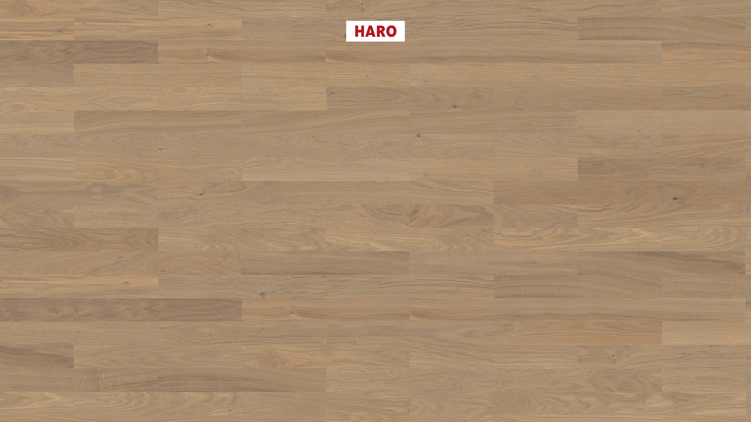 HARO PARKETT 4000 Stab Allegro Eiche sandgrau Naturale strukturiert naturaDur Nut & Feder