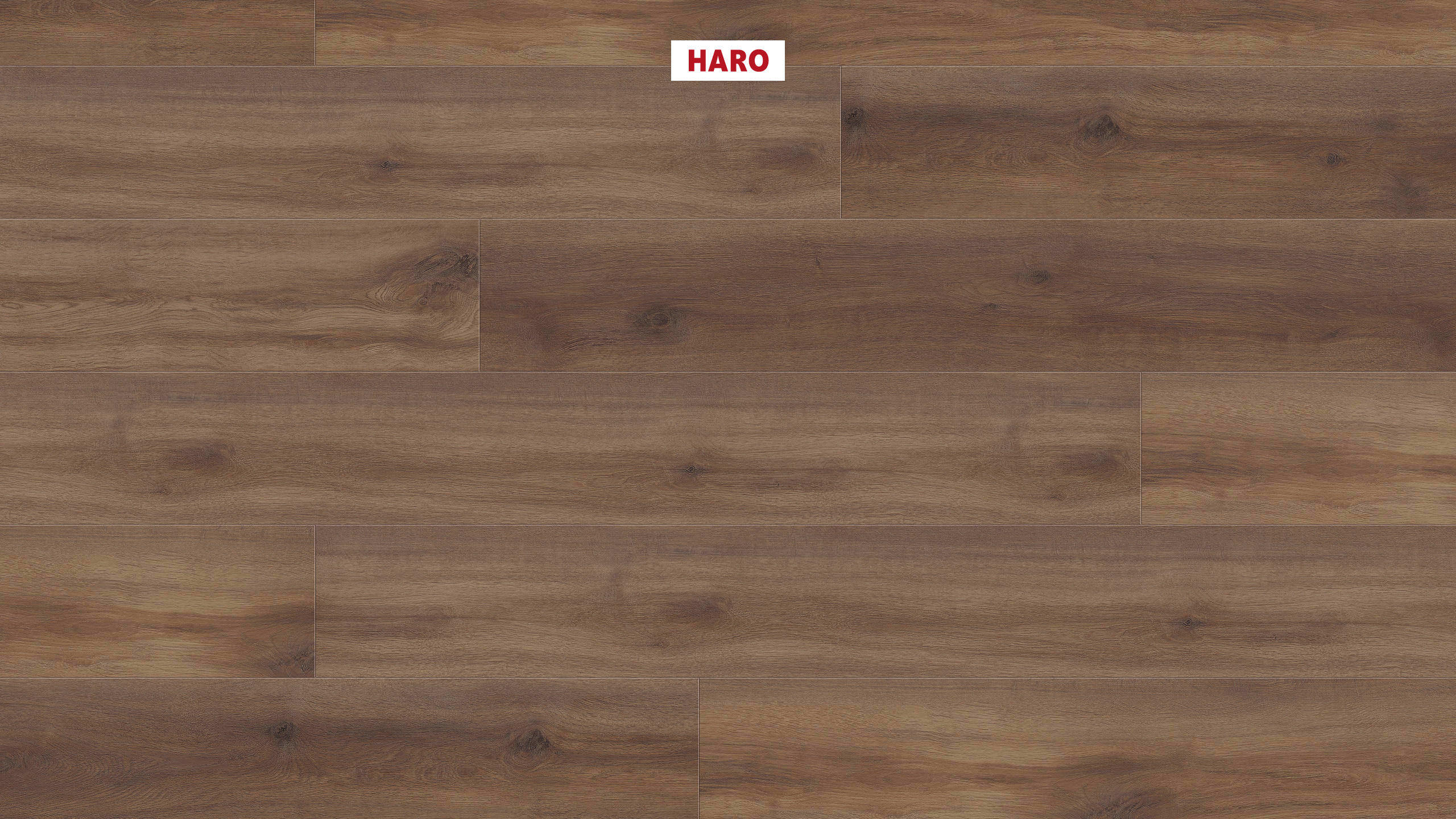 DISANO by HARO ClassicAqua Landhausdiele XL 4V Eiche Provence geräuchert* authentic Top Connect