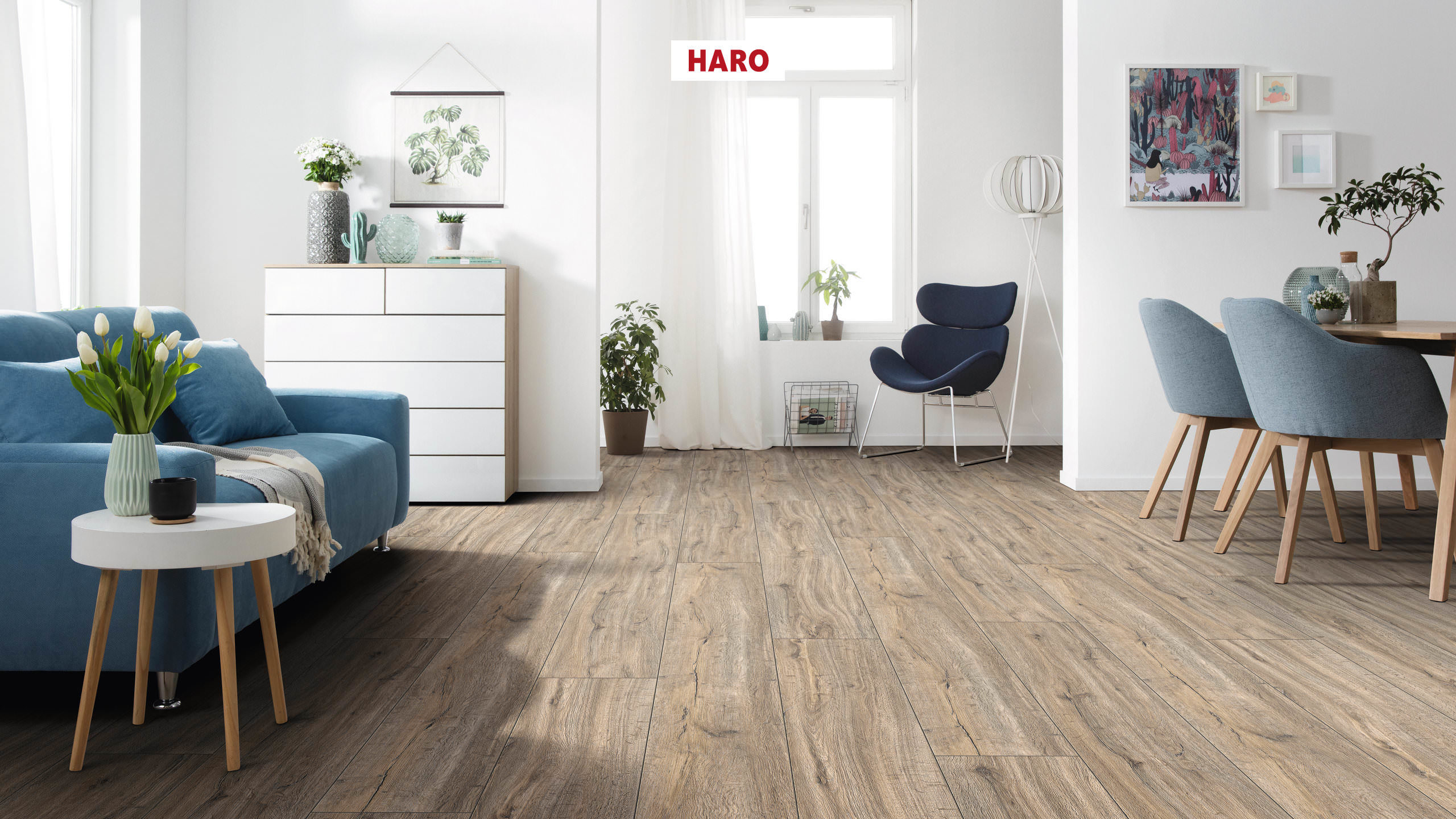 DISANO by HARO ClassicAqua Landhausdiele XL 4V Steineiche creme* strukturiert Top Connect