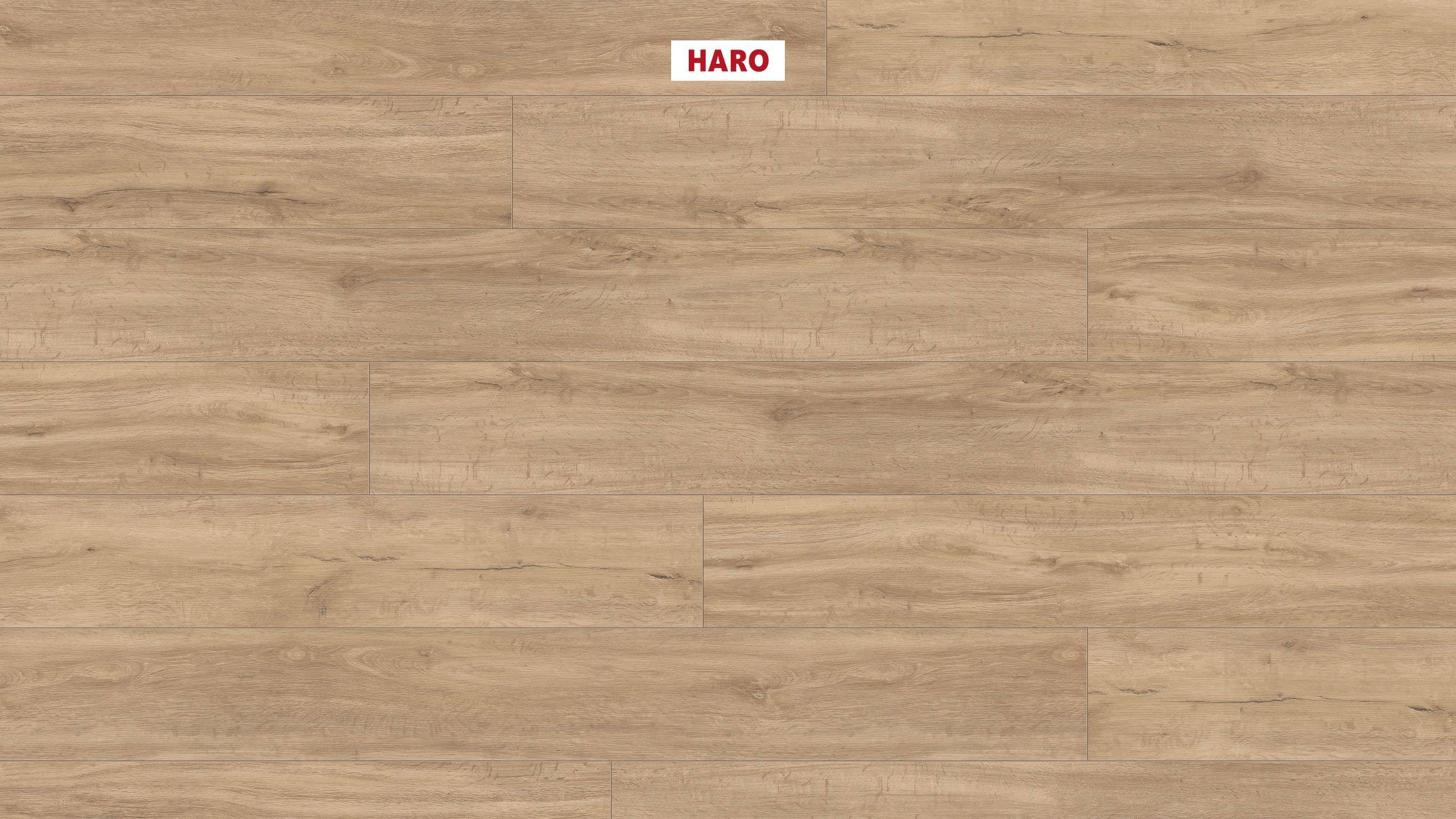 DISANO by HARO ClassicAqua Landhausdiele XL 4V Sandeiche* strukturiert Top Connect