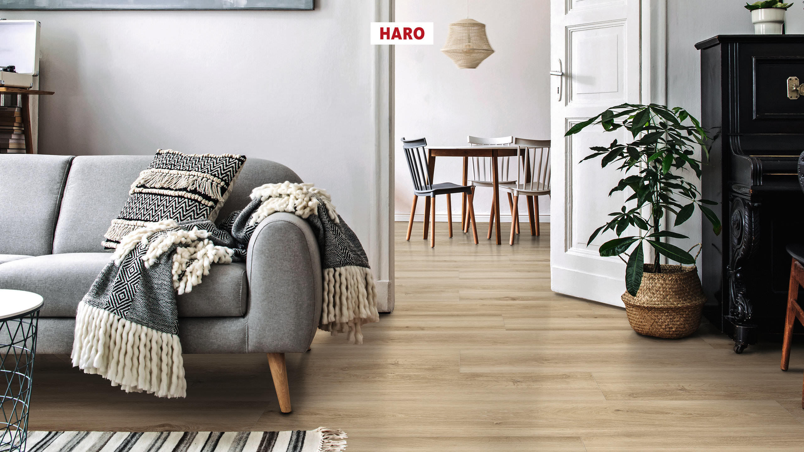 DISANO by HARO ClassicAqua Landhausdiele XL 4V Lichteiche* strukturiert Top Connect