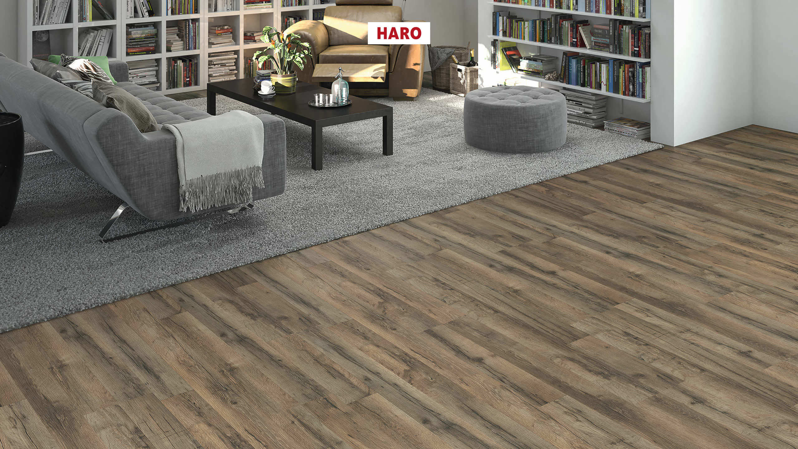 HARO Laminatboden Sonderedition NKL31 2-Stab Graphiteiche* strukturiert matt Silent Pro Top Connect