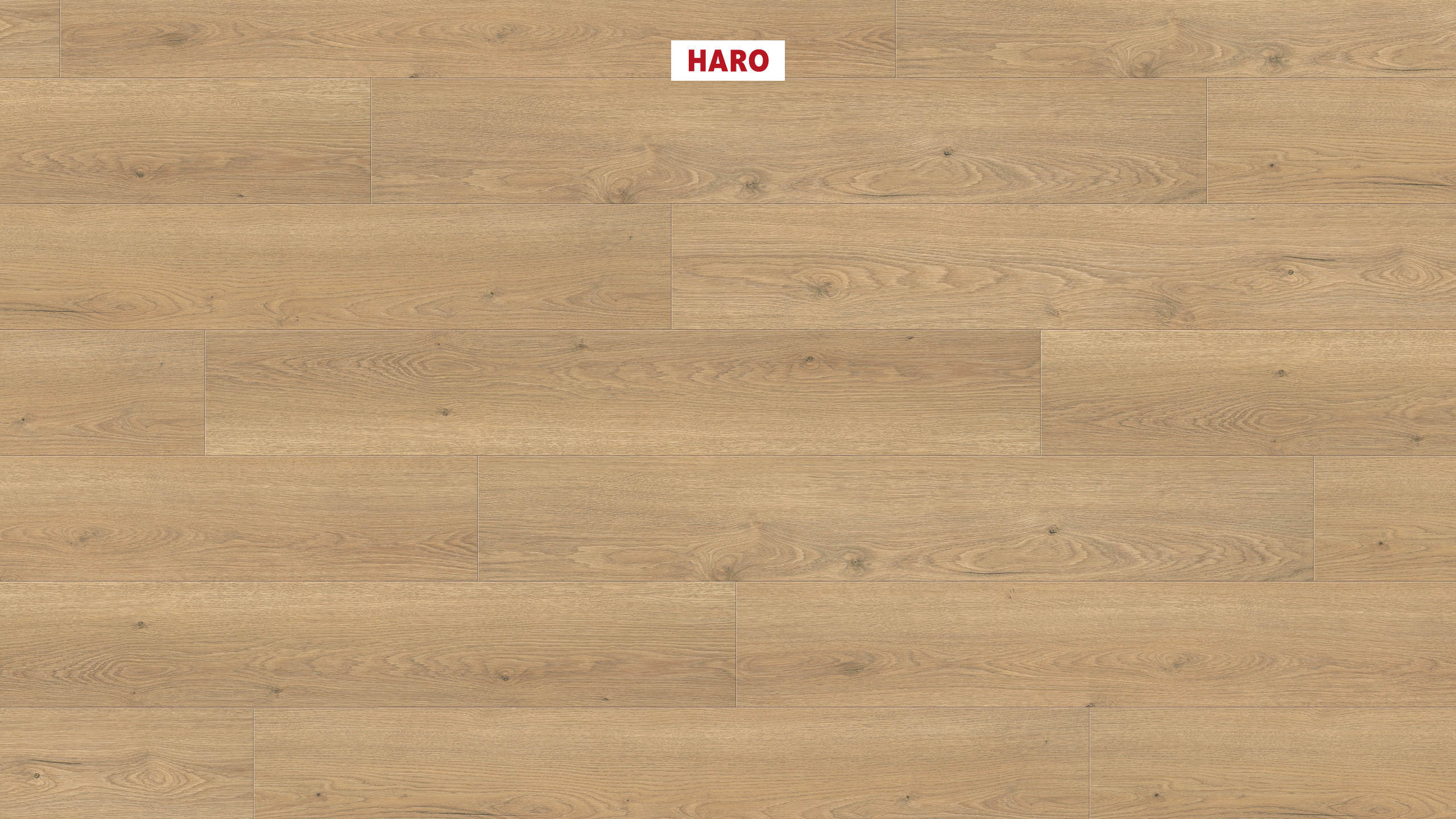 HARO Laminatboden TRITTY 200 Aqua Landhausdiele 4V Eiche Flavia puro* authentic Silent CT Top Connect