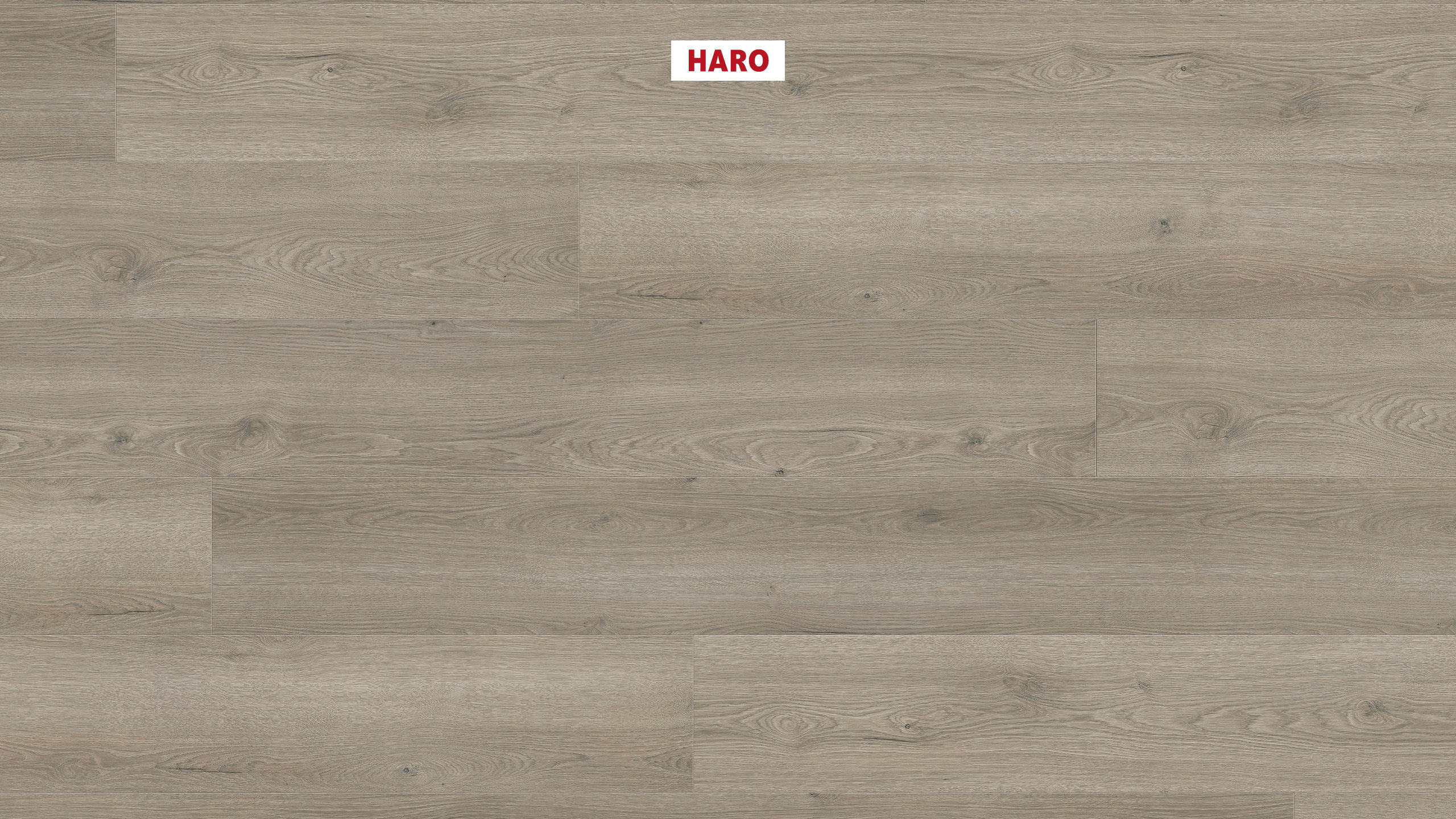 HARO Laminatboden TRITTY 200 Aqua Gran Via 4V Eiche Flavia grau* authentic Top Connect