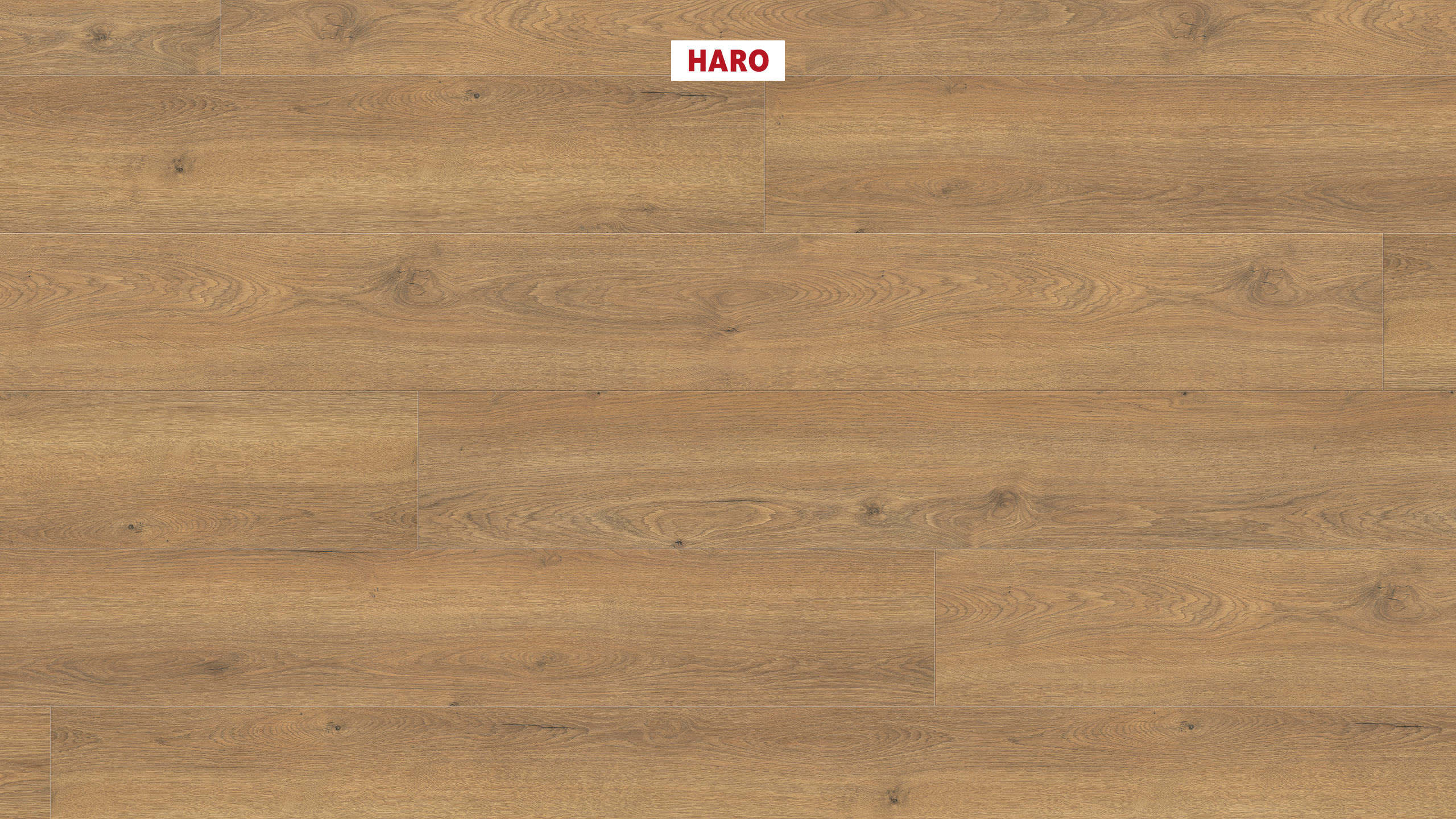 HARO Laminatboden TRITTY 200 Aqua Gran Via 4V Eiche Flavia natur* authentic Silent CT Top Connect