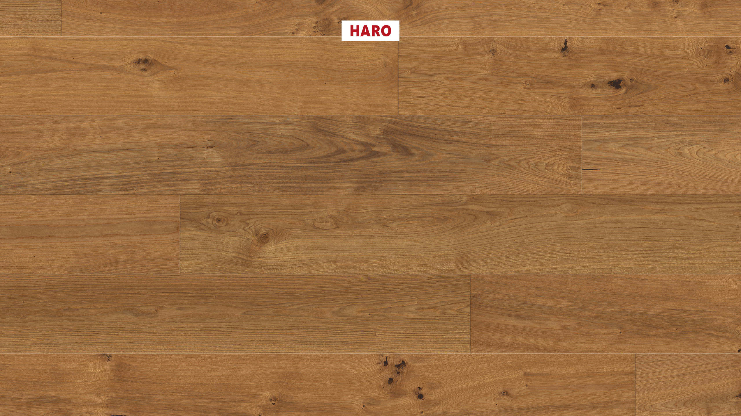 HARO PARKETT 12 mm Landhausdiele XL 4V Eiche München strukturiert naturaLin plus Top Connect