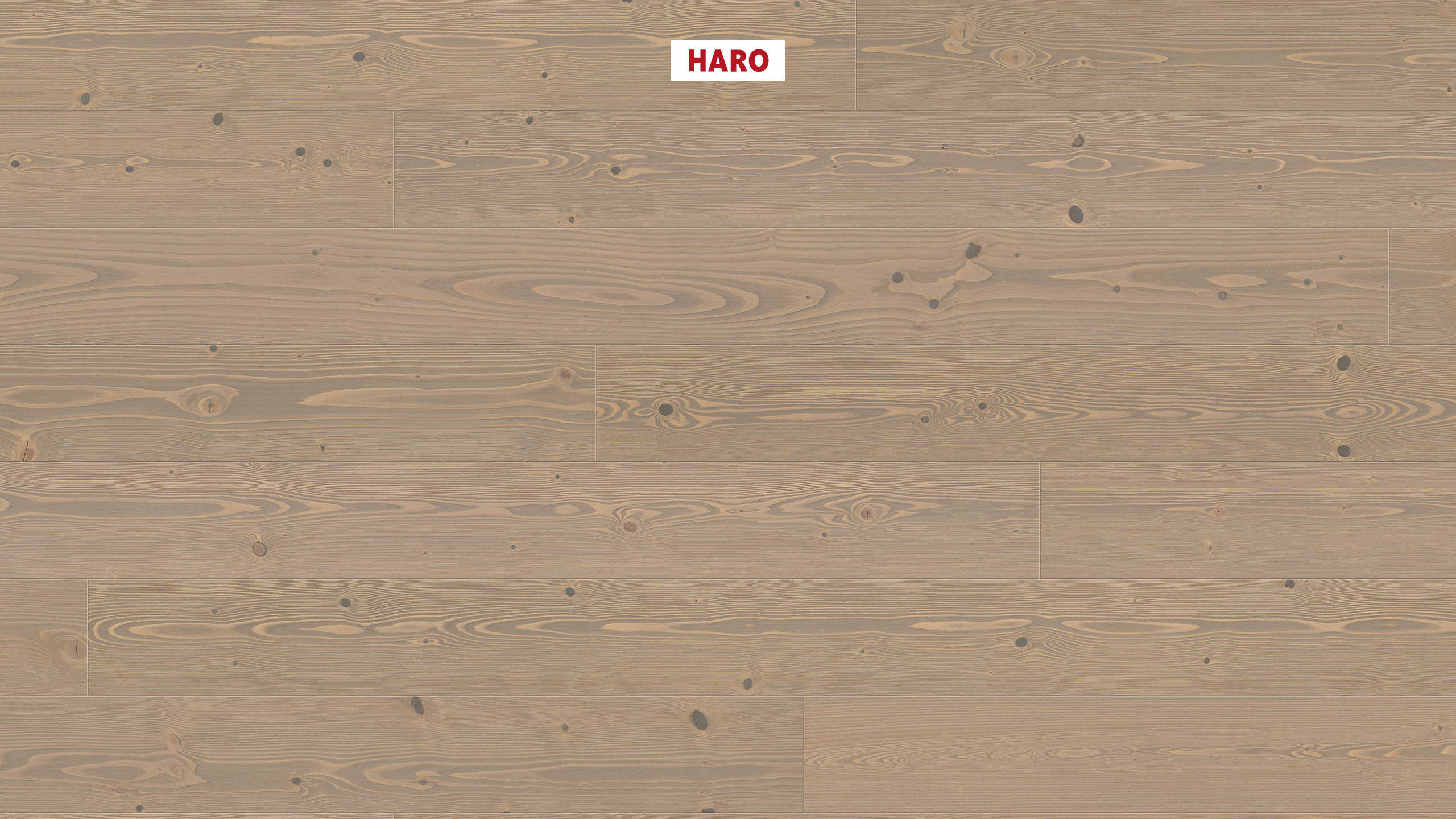 HARO PARKETT 4000 Landhausdiele 180 4V Tanne pastellgrau Universal strukturiert naturaDur Top Connect