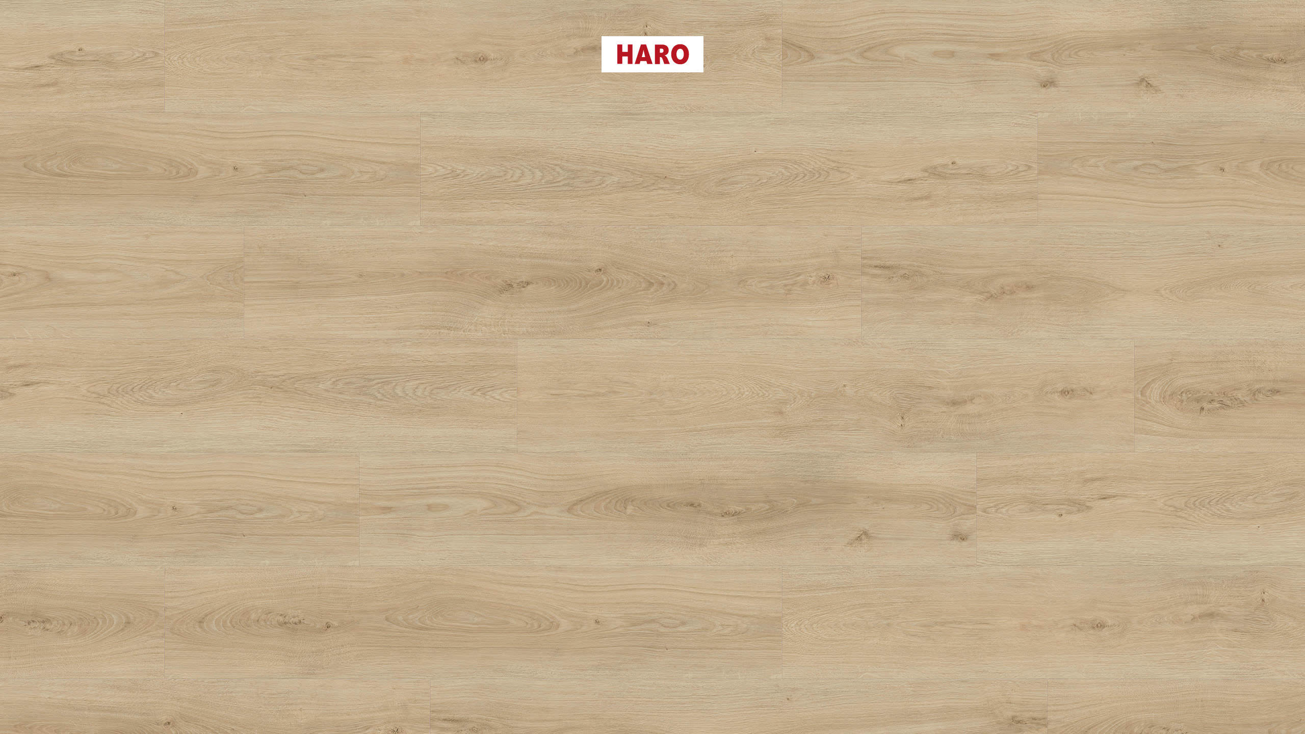 DISANO by HARO Project Landhausdiele 4VM Eiche Sheffield puro* authentic