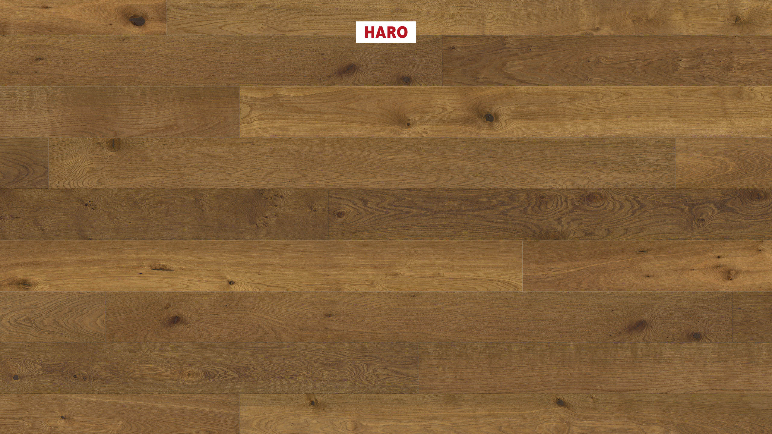 HARO PARKETT 4000 Landhausdiele 180 4V Raucheiche Sauvage strukturiert naturaLin plus Top Connect