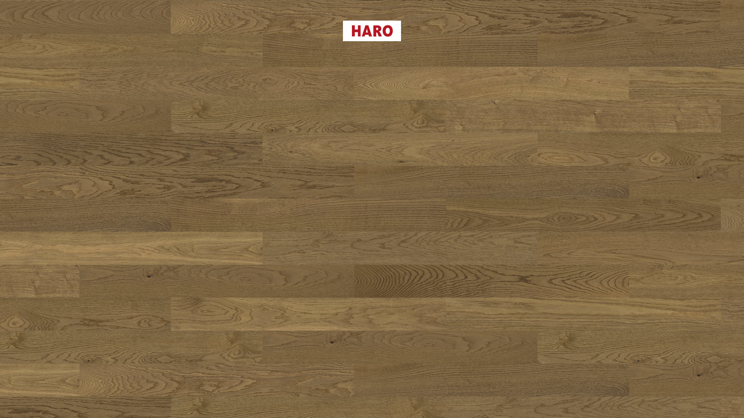 HARO PARKETT 4000 Landhausdiele Prestige Raucheiche Markant strukturiert naturaLin plus Nut & Feder