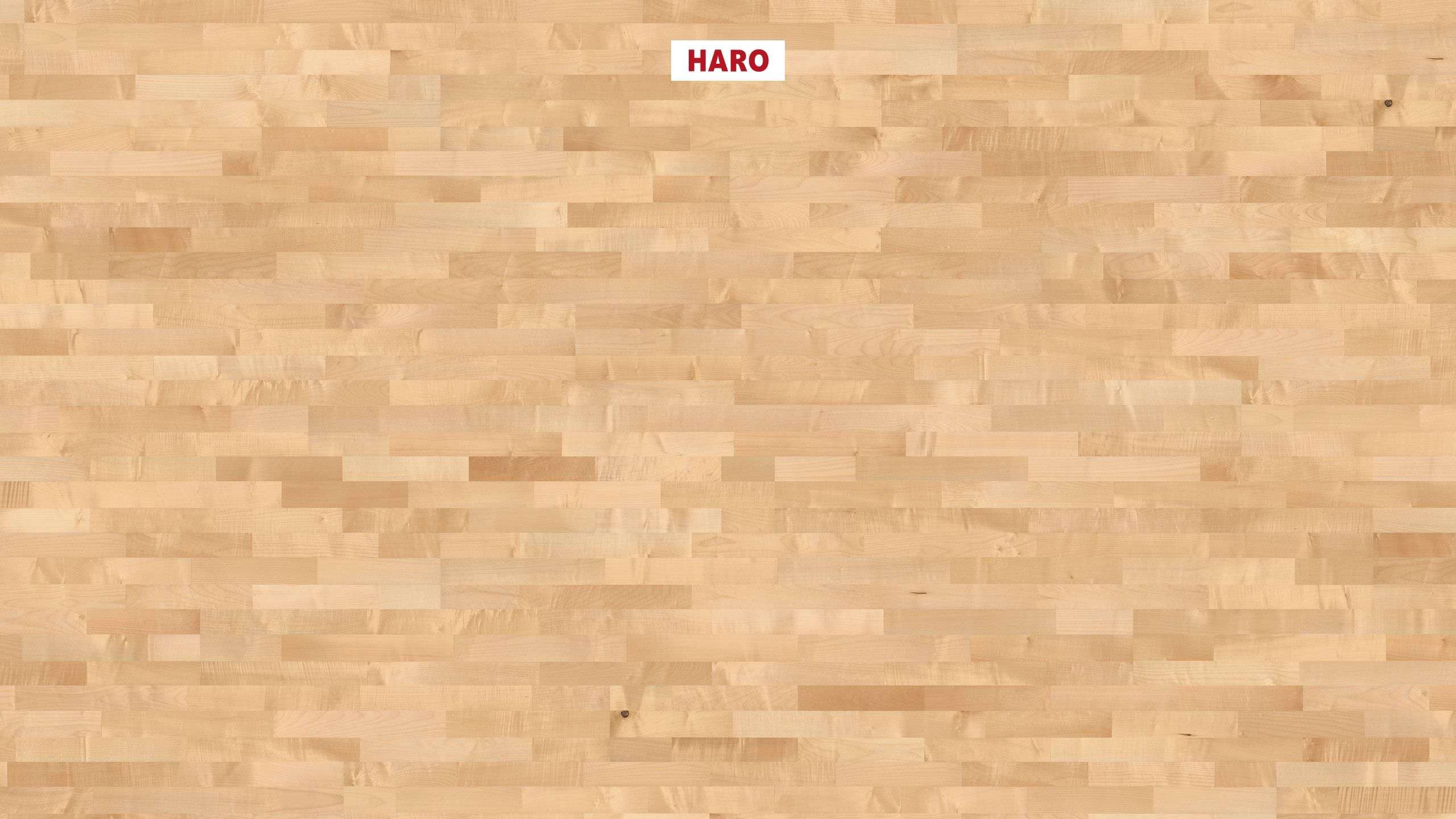 HARO PARKETT 2500 Schiffsboden Bergahorn Favorit naturaDur Top Connect