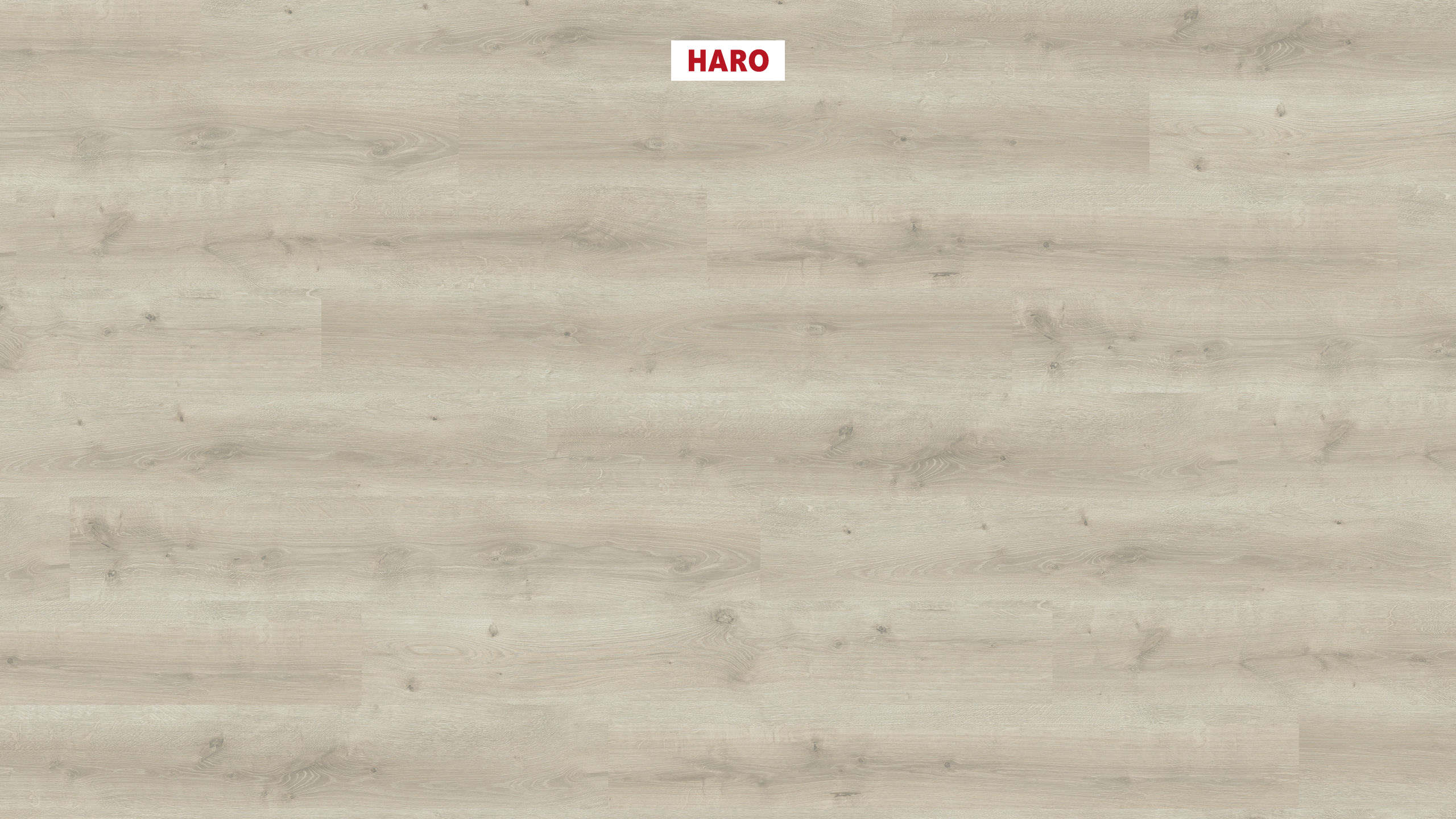 HARO Laminatboden Sonderedition NKL32 Landhausdiele 4V Eiche Breda weiß* strukturiert Silent Pro Top Connect