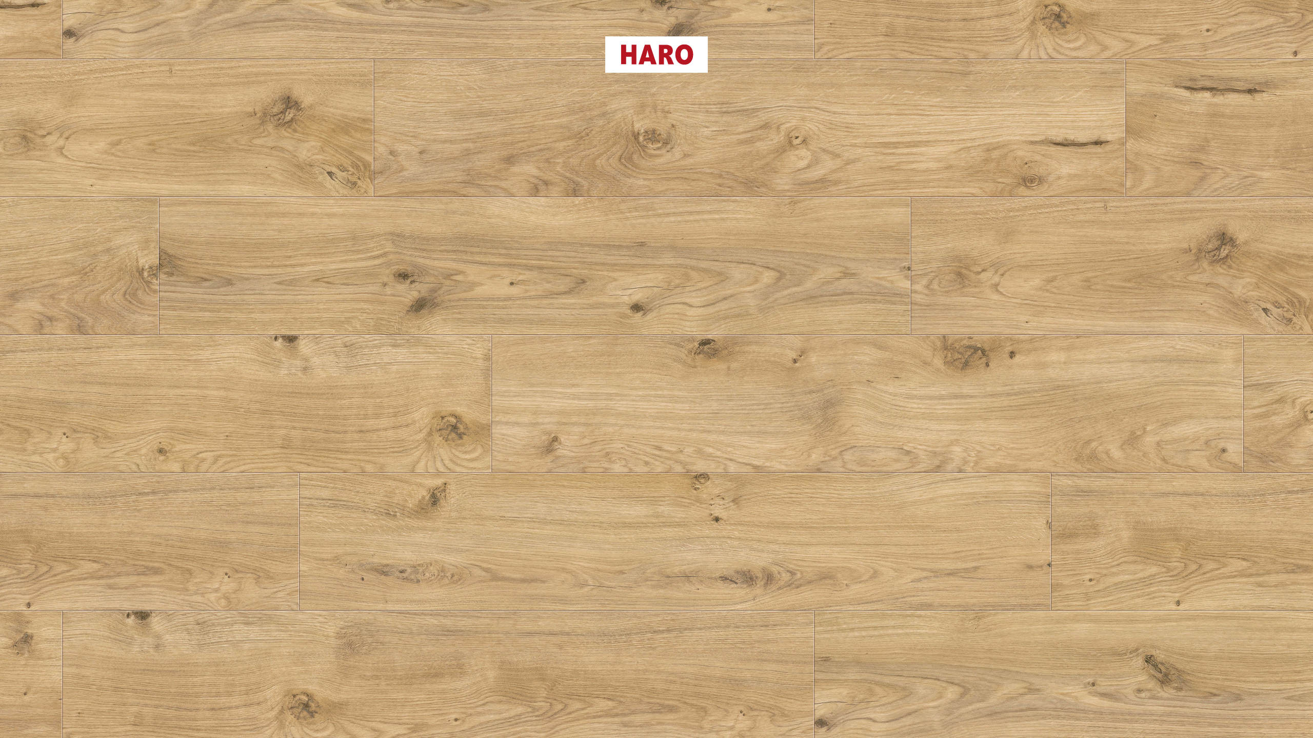 DISANO by HARO LifeAqua Landhausdiele 4V Eiche Phoenix* strukturiert Top Connect