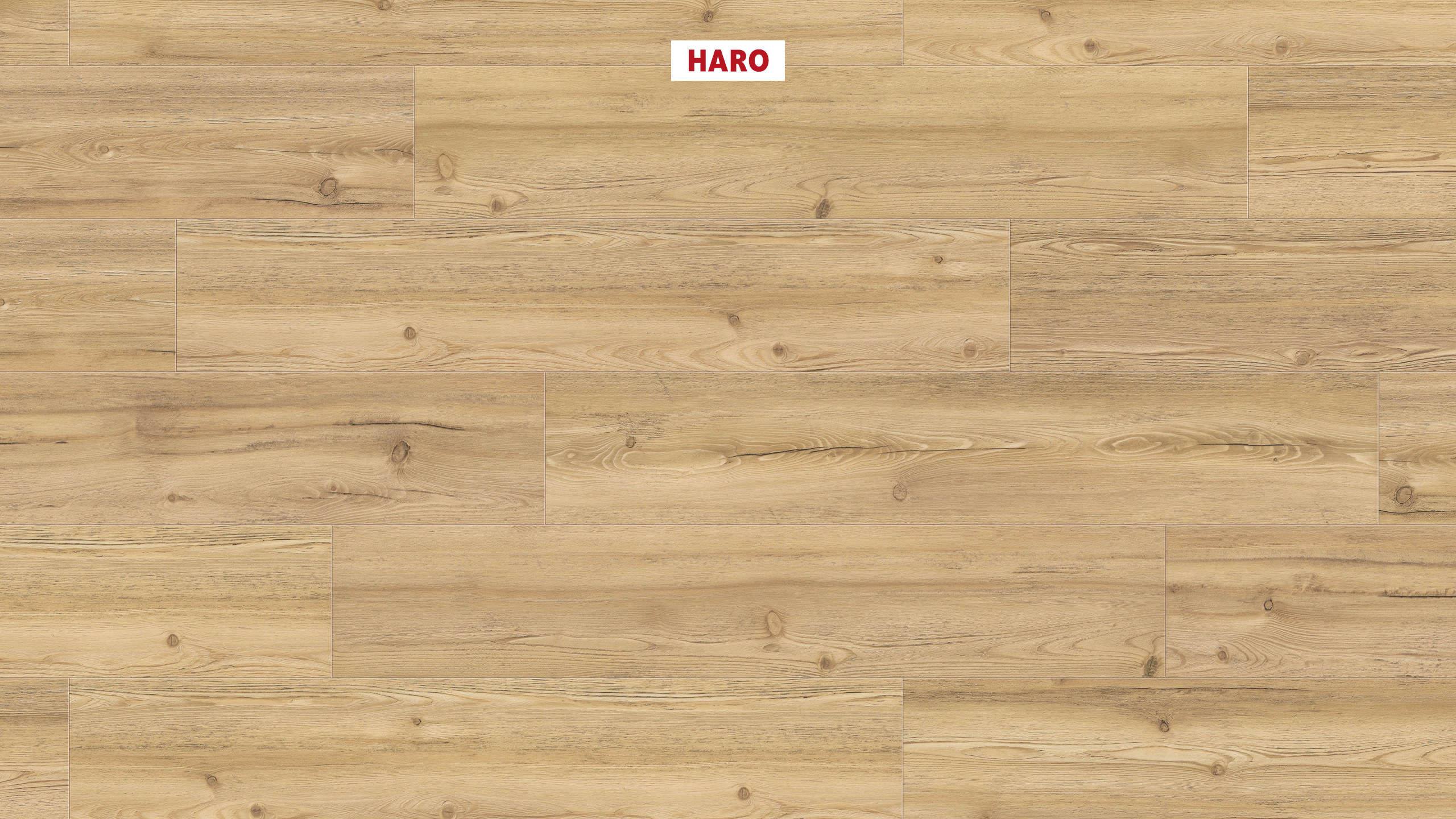 DISANO by HARO LifeAqua Landhausdiele 4V Berglärche puro* strukturiert Top Connect