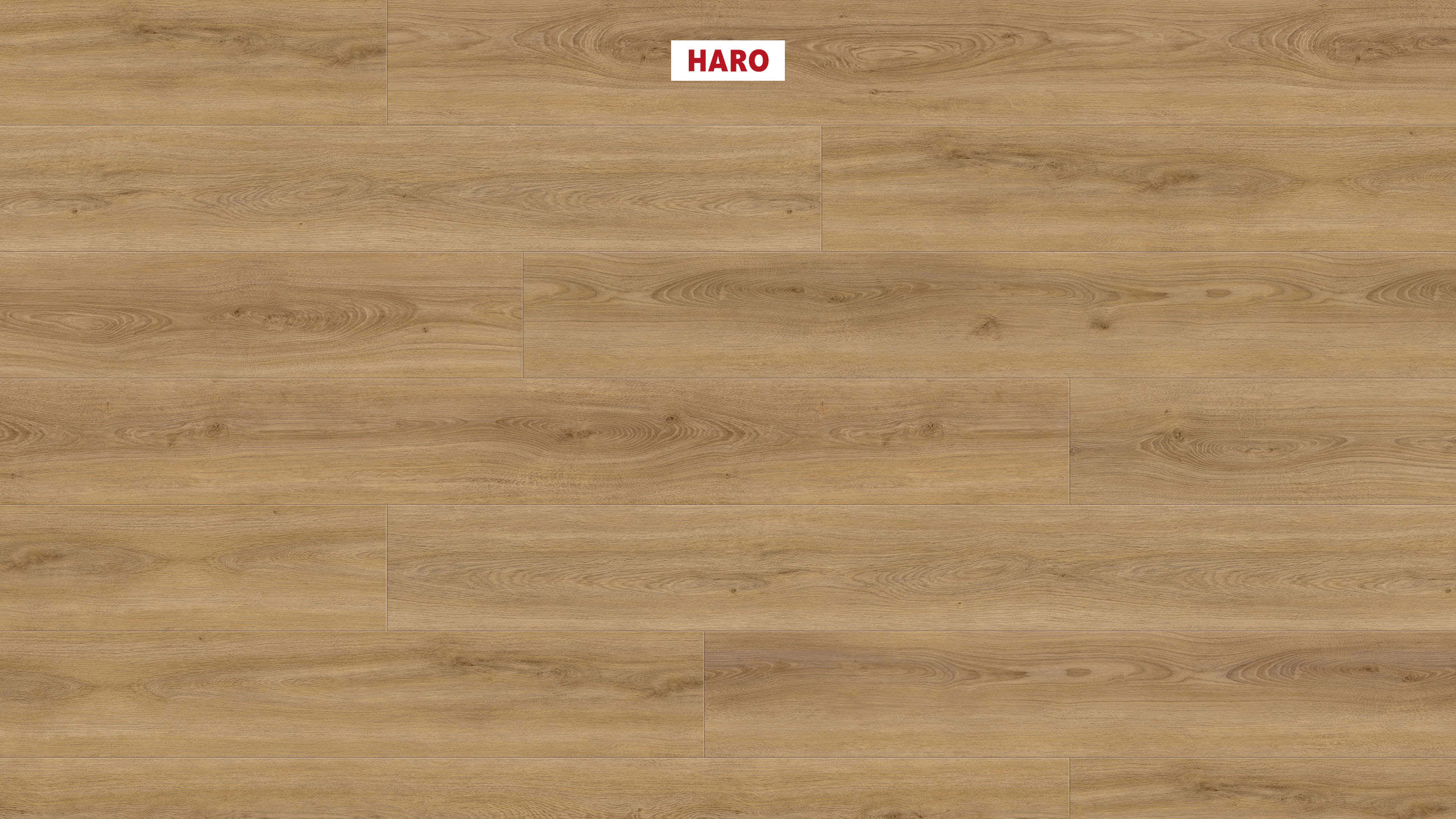 DISANO by HARO LifeAqua Landhausdiele XL 4V Eiche Sheffield natur* authentic Top Connect