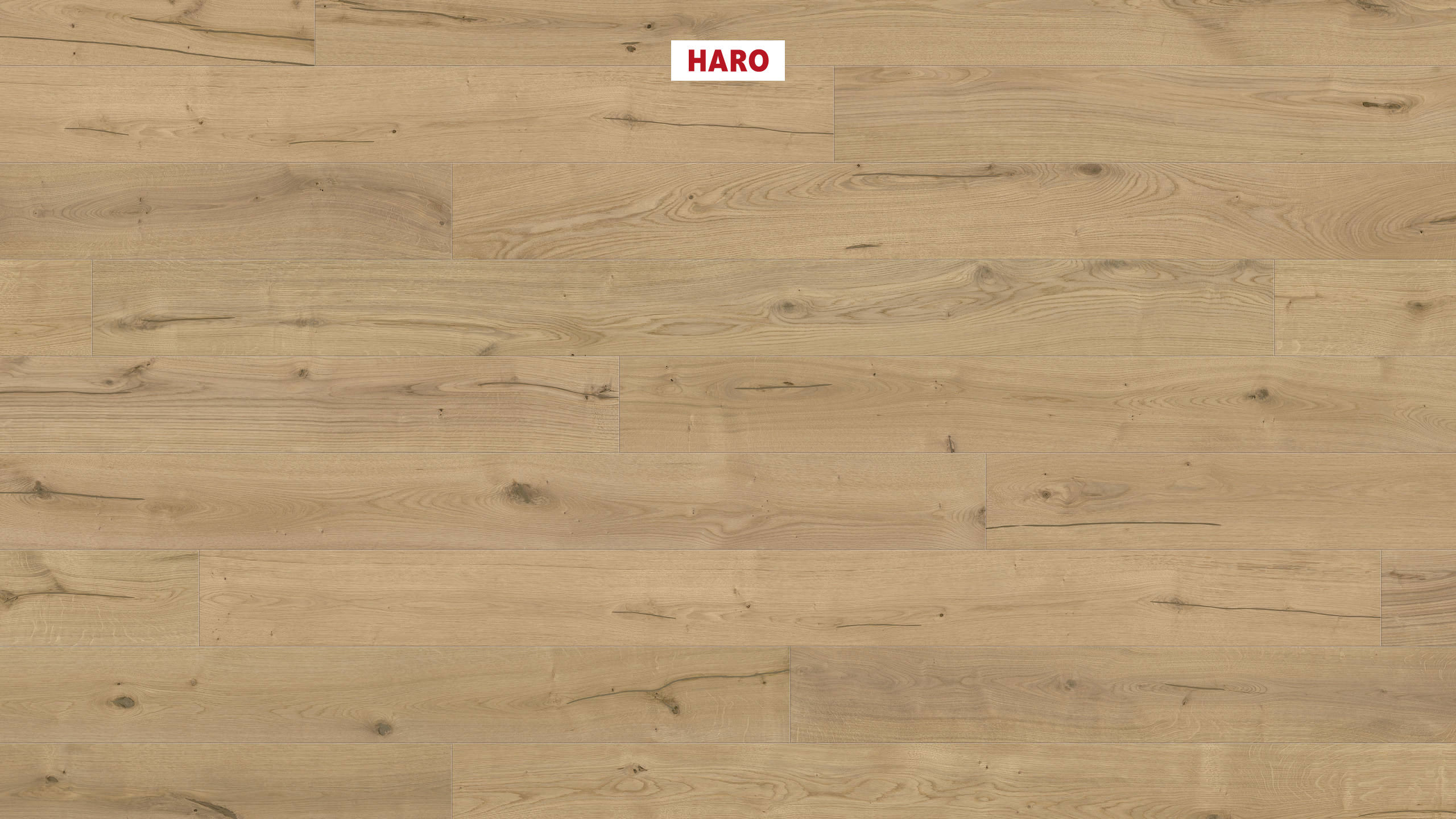 HARO PARKETT 4000 Landhausdiele 180 4V Eiche Jubiläumsedition Hell strukturiert naturaLin plus Top Connect