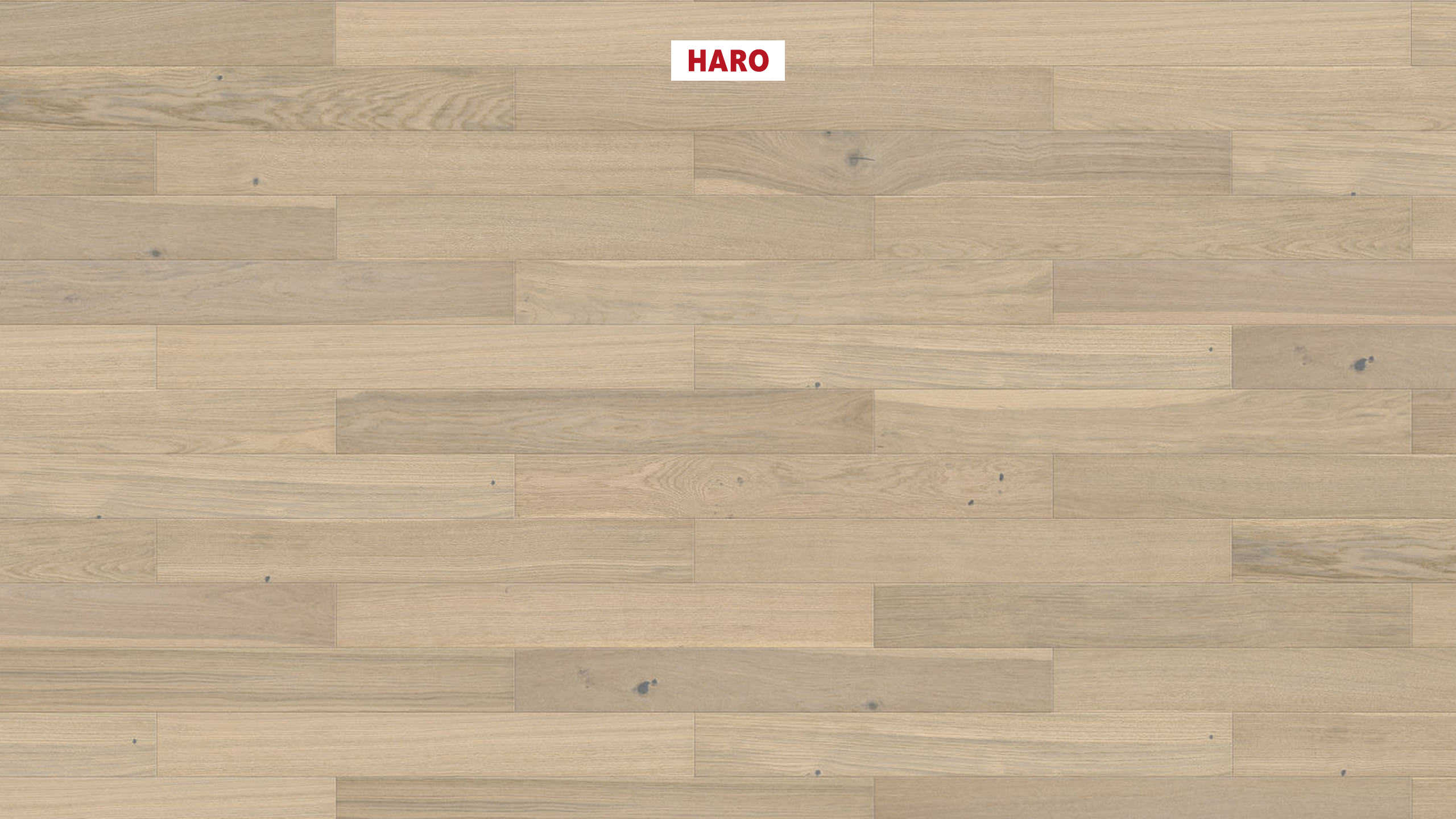 HARO PARKETT 3000 ECO Landhausdiele 4V Eiche lichtweiß Universal strukturiert naturaLin plus Top Connect