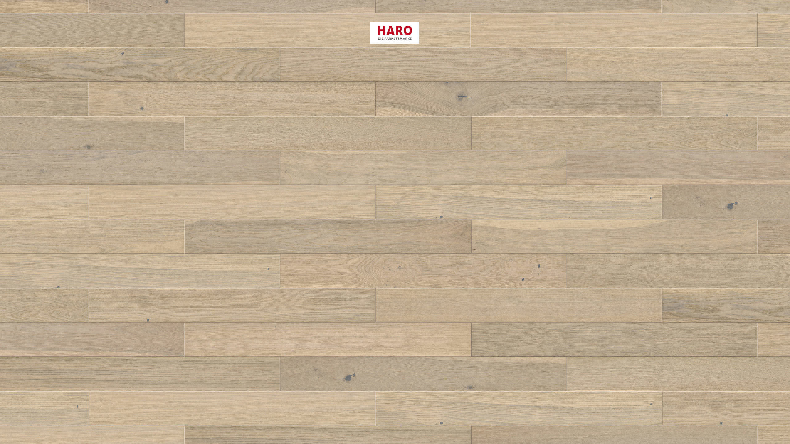 HARO PARKETT 3000 ECO Landhausdiele 4V Eiche lichtweiß Universal strukturiert naturaLin plus Top Connect