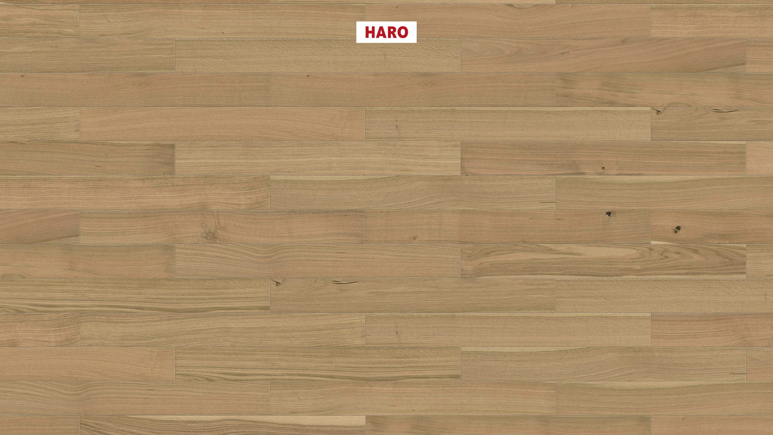 HARO PARKETT 3000 ECO Landhausdiele 4V Eiche invisible Universal strukturiert naturaLin plus Top Connect