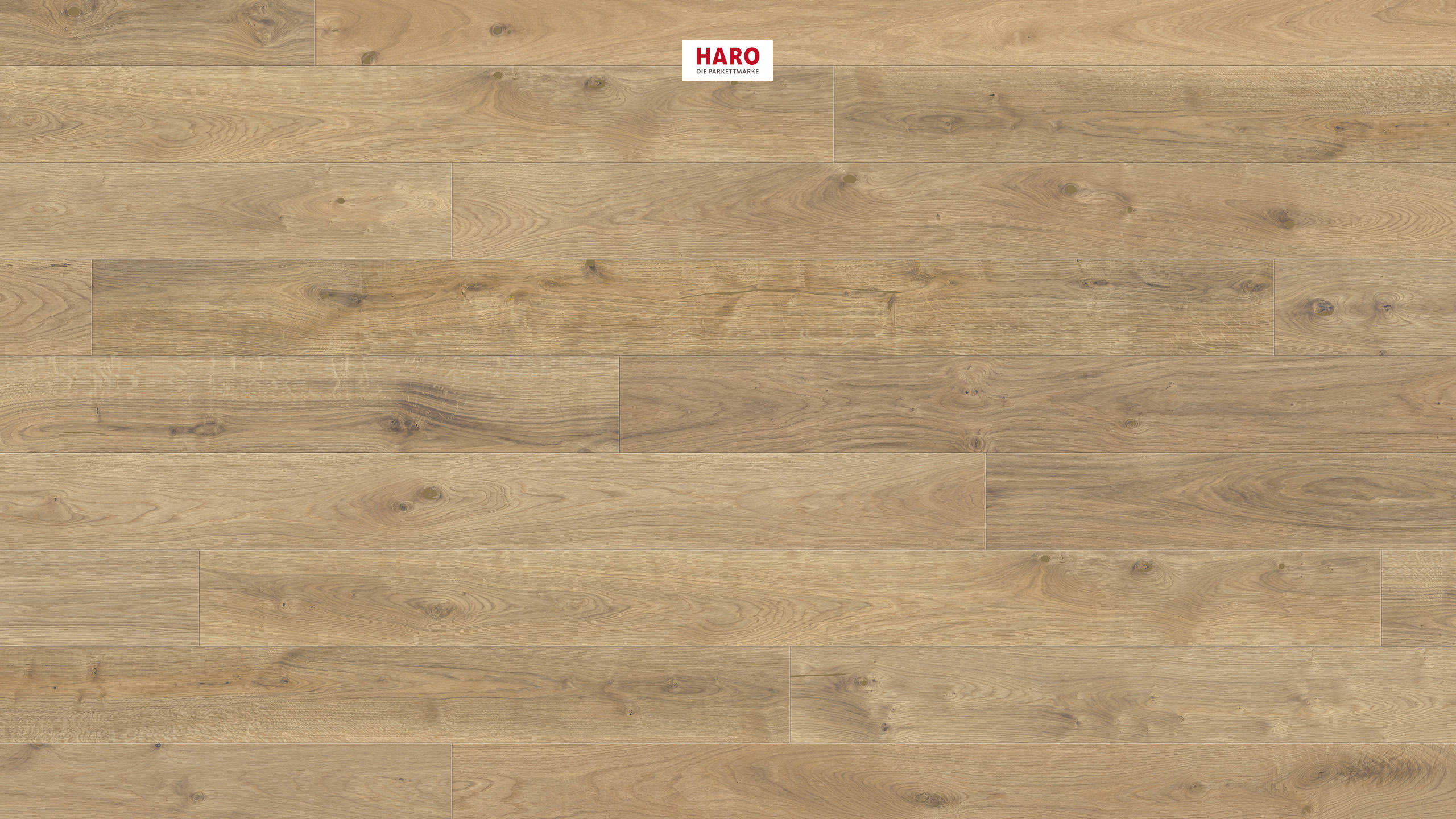 HARO PARKETT 4000 Landhausdiele 180 4V Eiche invisible Sauvage oro strukturiert naturaLin plus Top Connect