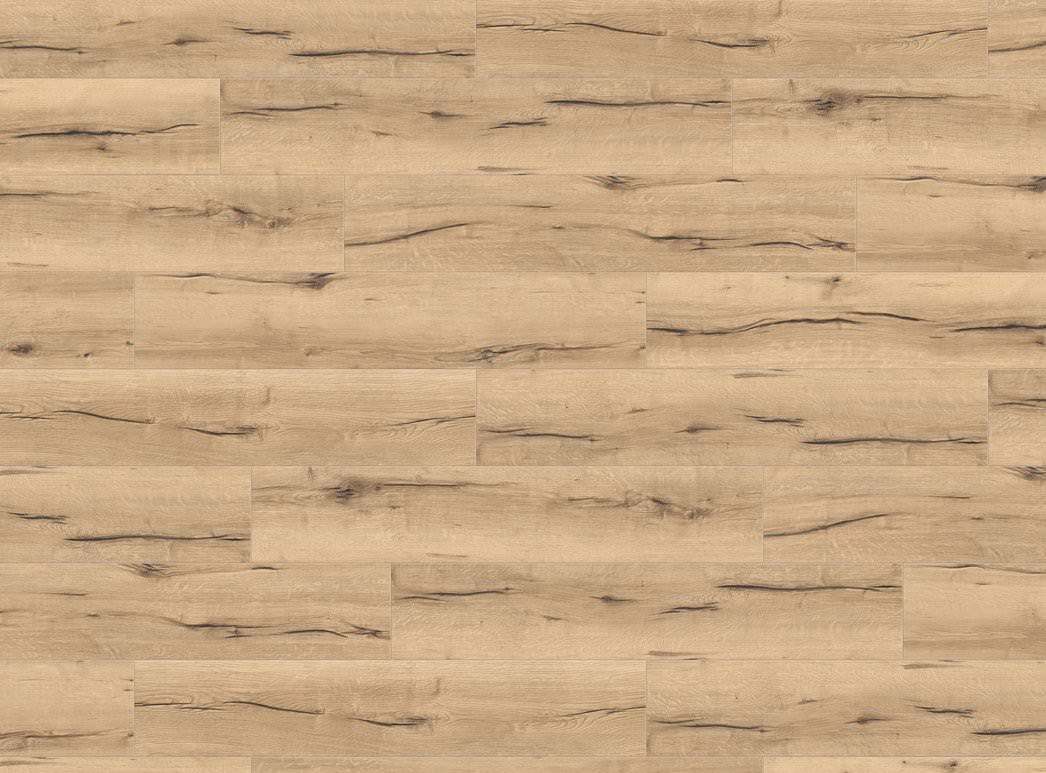 Product image 3 Campus 4V Oak Italica Creme* authentic