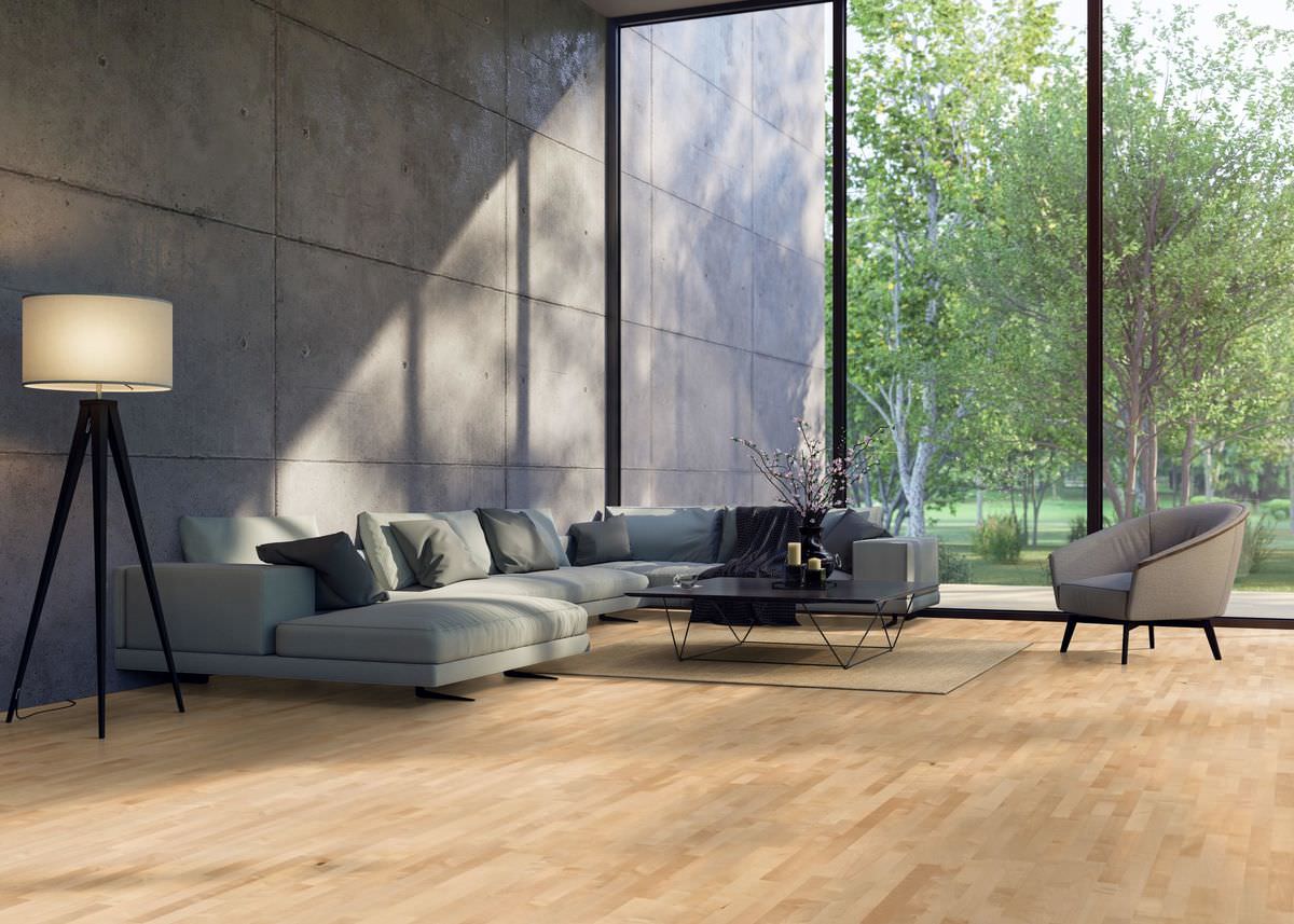 Product image 1 Longstrip Sycamore Maple Favorit