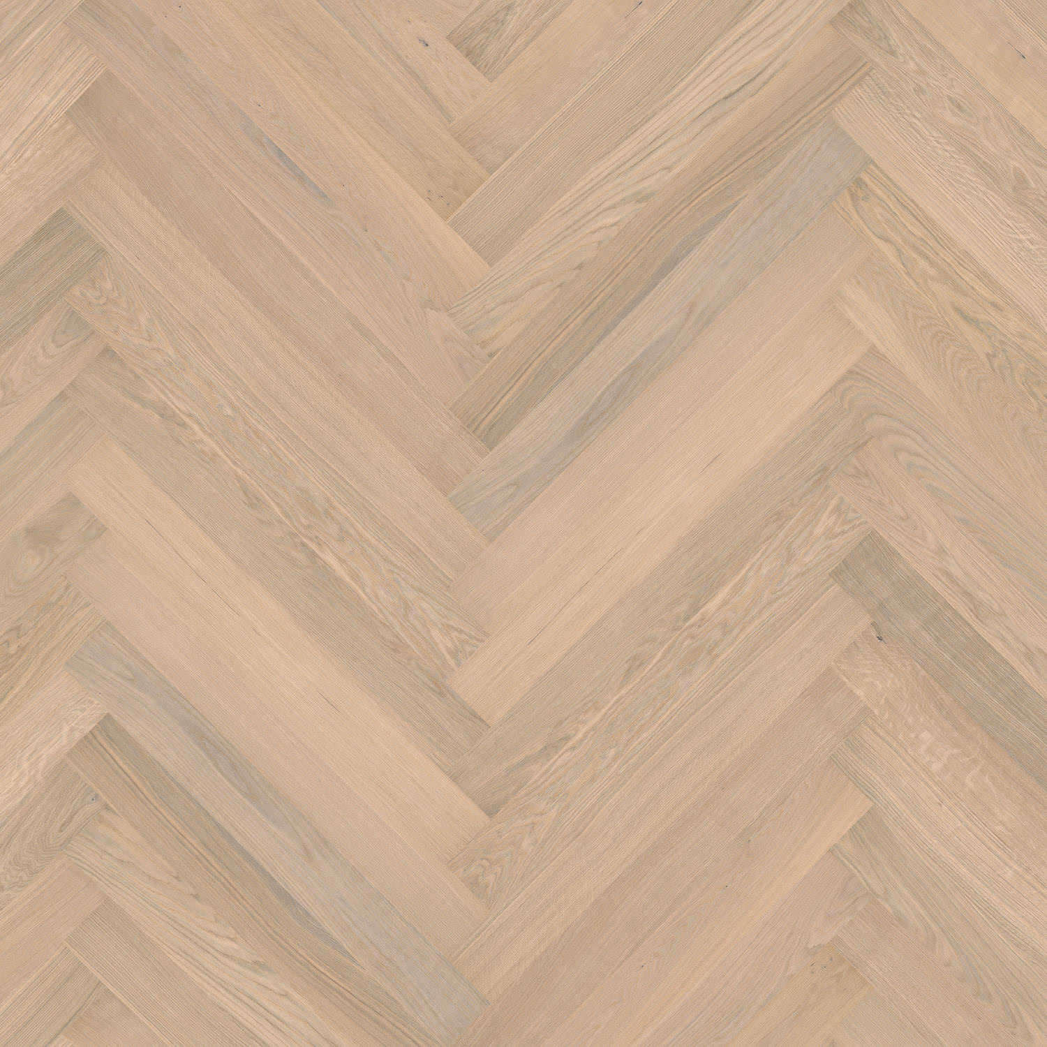 parkettmanufaktur by HARO 4000 Plank 1-Strip Prestige Oak white Selectiv brushed oleovera Tongue and Groove