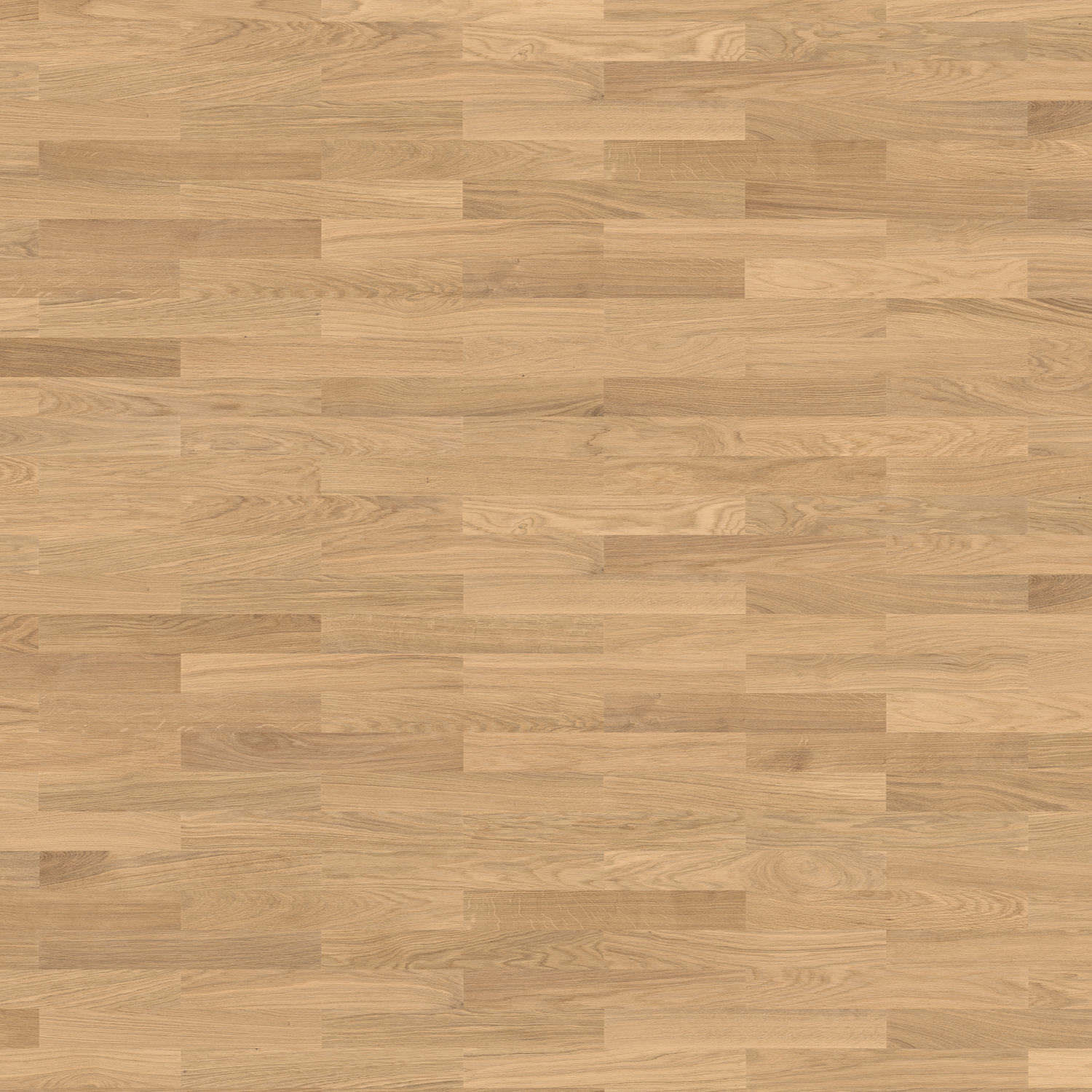 HARO PARQUET 4000 Strip Allegro Oak Light White Trend brushed naturaDur Tongue and Groove