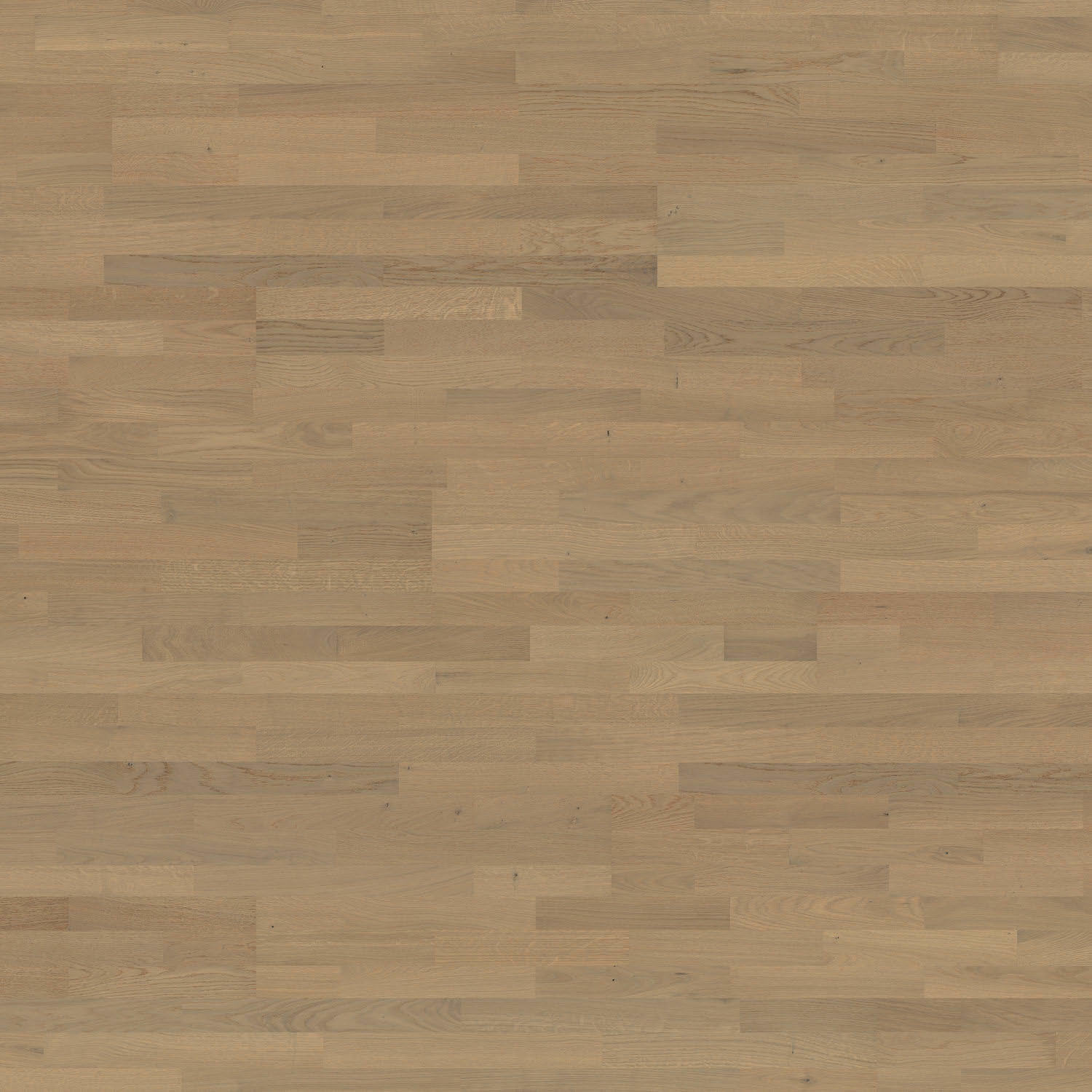 HARO PARQUET 4000 Longstrip Oak Sand Grey Naturale brushed naturaLin plus Top Connect