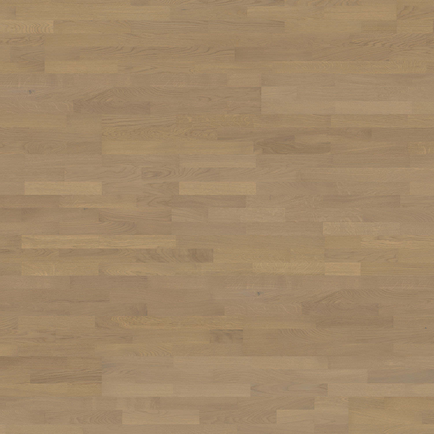 HARO PARQUET 4000 Longstrip Oak Sand Grey Naturale brushed naturaLin plus Top Connect