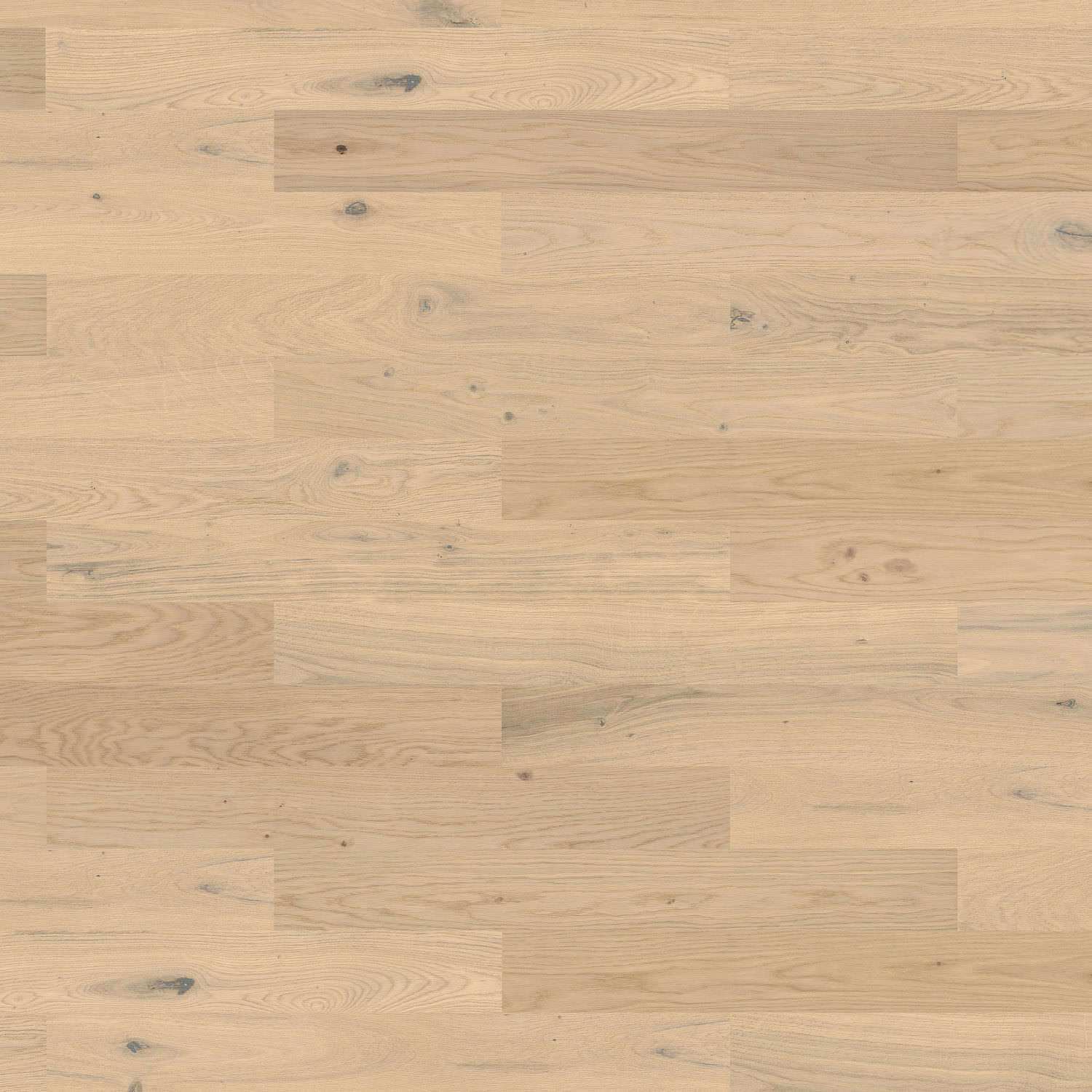 HARO PARQUET 4000 Plank 1-Strip Prestige Oak Light White Sauvage brushed naturaDur Tongue and Groove