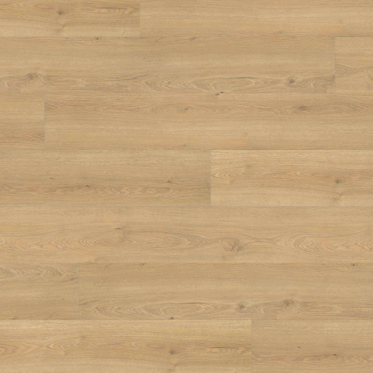 HARO Laminate Floor TRITTY 100 Gran Via 4V Oak Flavia Puro* authentic Top Connect