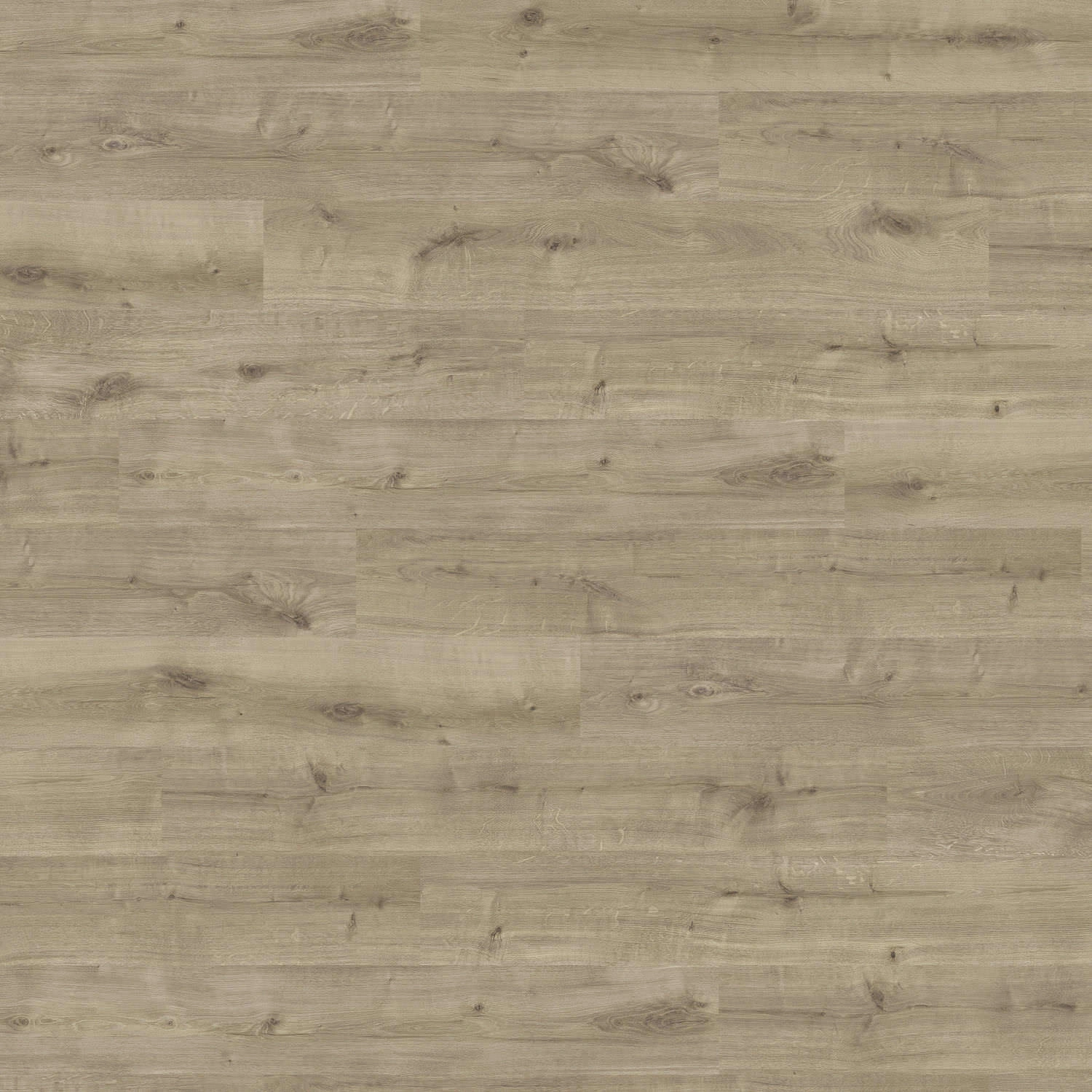 Produktbild 2 Plank 1-Strip 4V Oak Calla Puro* textured