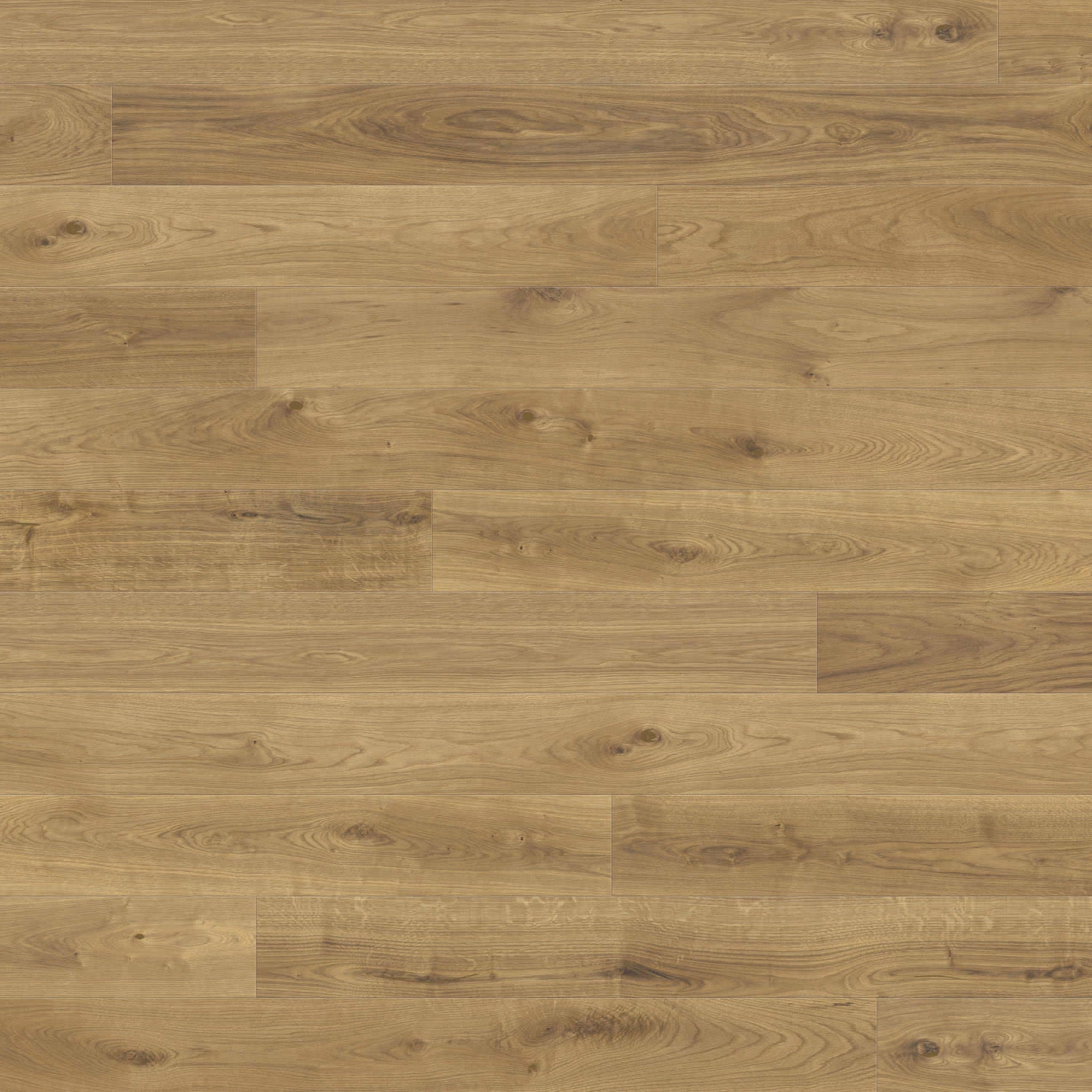 Produktbild 2 Plank 1-Strip 180 4V Oak Jubilee Edition #1 Sauvage brushed