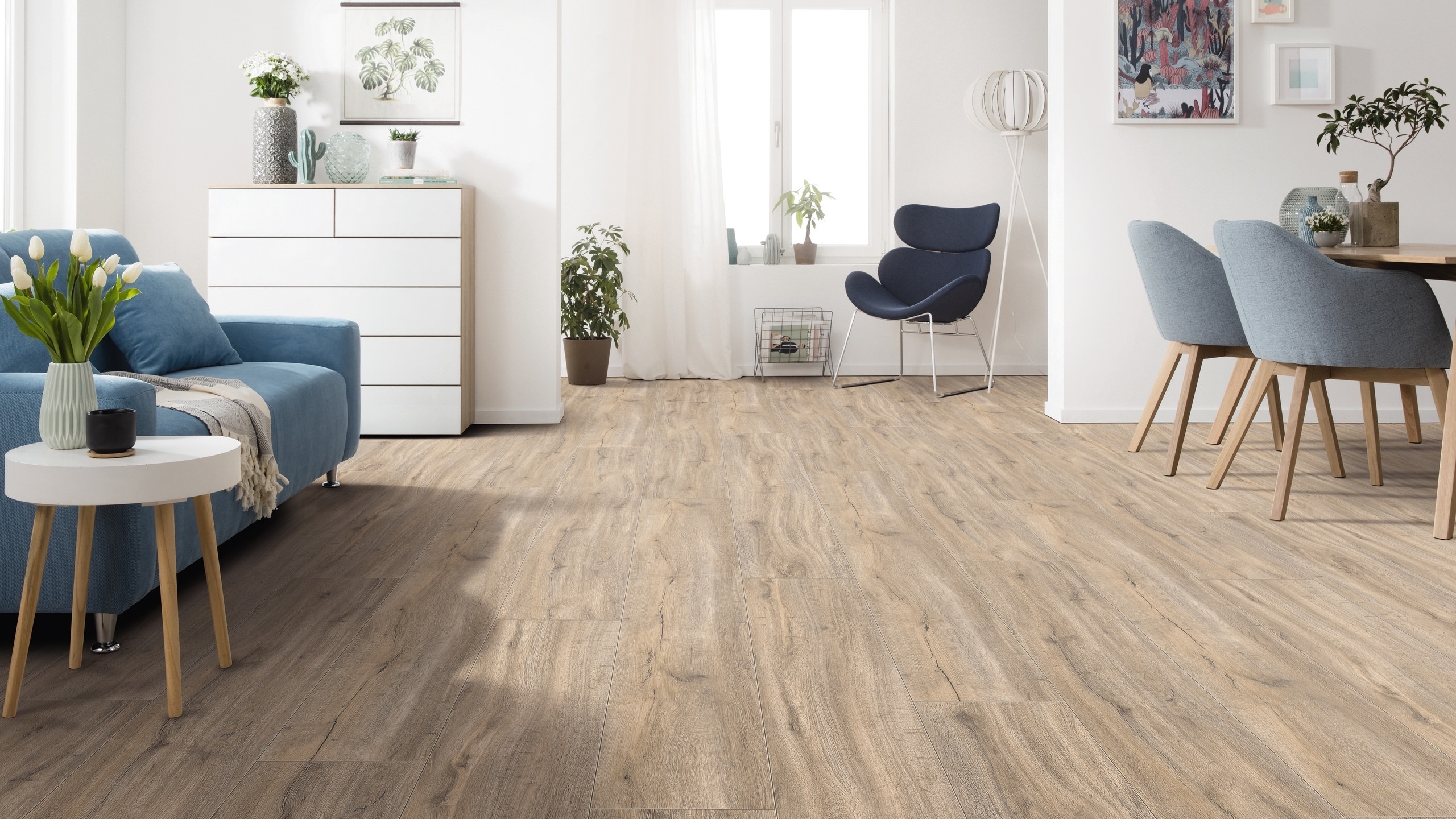 DISANO by HARO ClassicAqua Plank 1-Strip XL 4V Holm Oak Creme* textured Top Connect