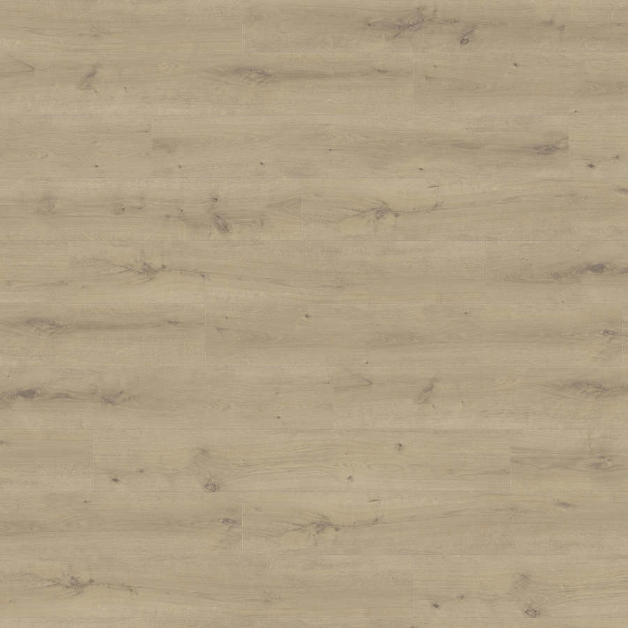Produktbild HARO Laminate Floor Special Edition NKL32 Plank 1-Strip 4V Oak Breda Puro* textured Silent Pro Top Connect