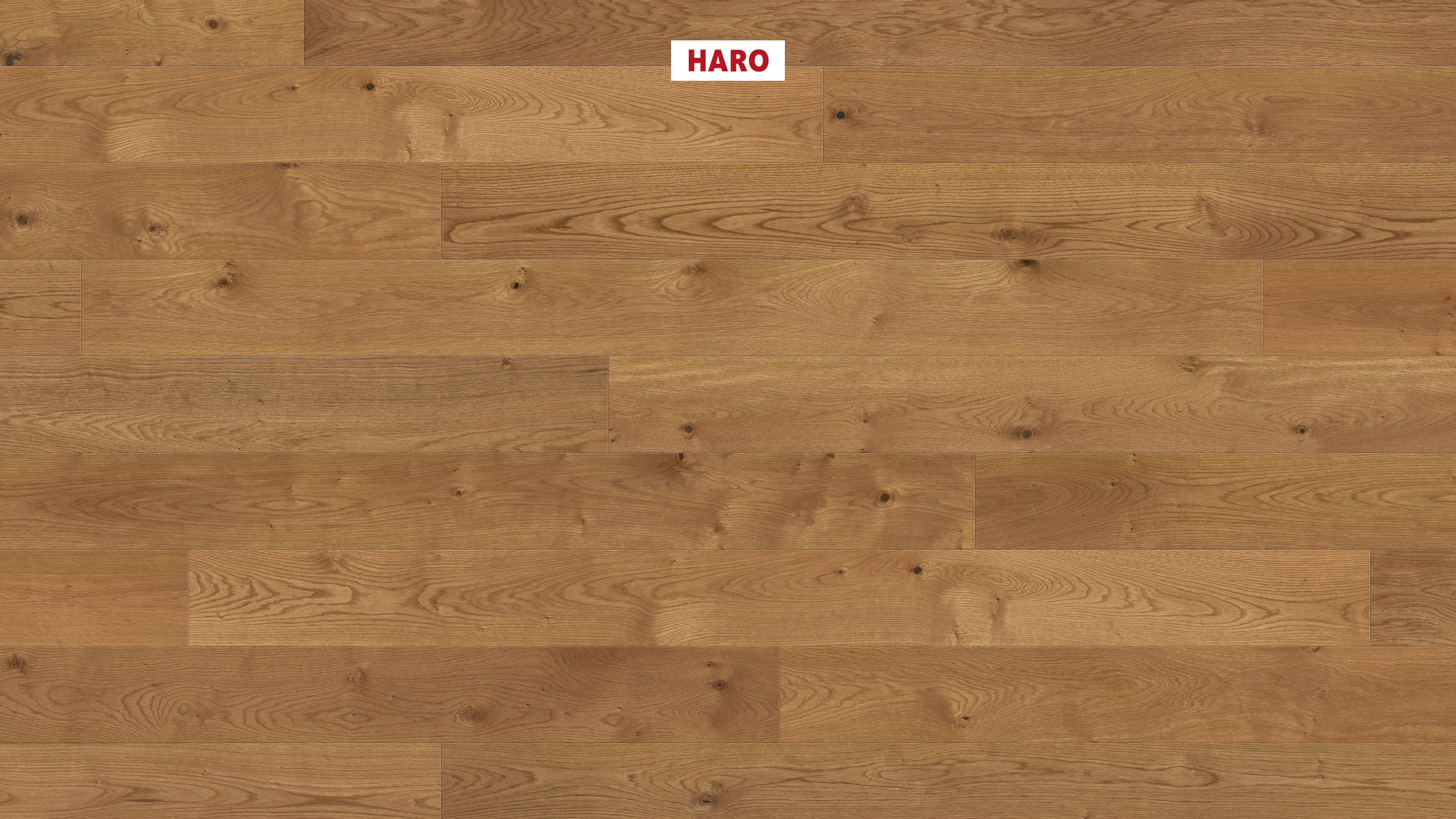 HARO PARQUET 4000 Plank 1-Strip 180 4V Amber Oak Markant brushed naturaLin plus Top Connect