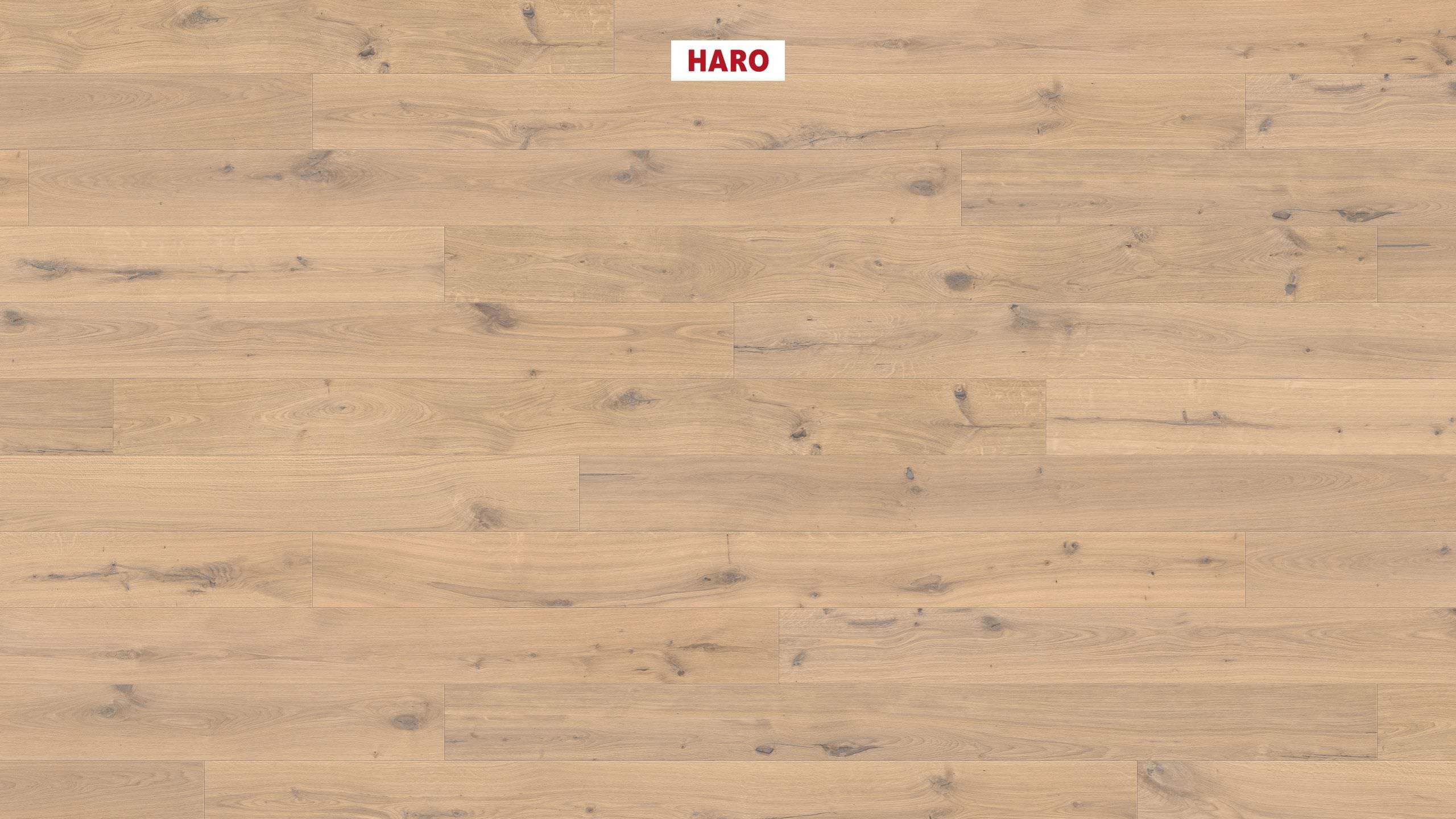 HARO PARQUET 4000 Plank 1-Strip 180 4V Oak Puro White Sauvage brushed naturaLin plus Top Connect