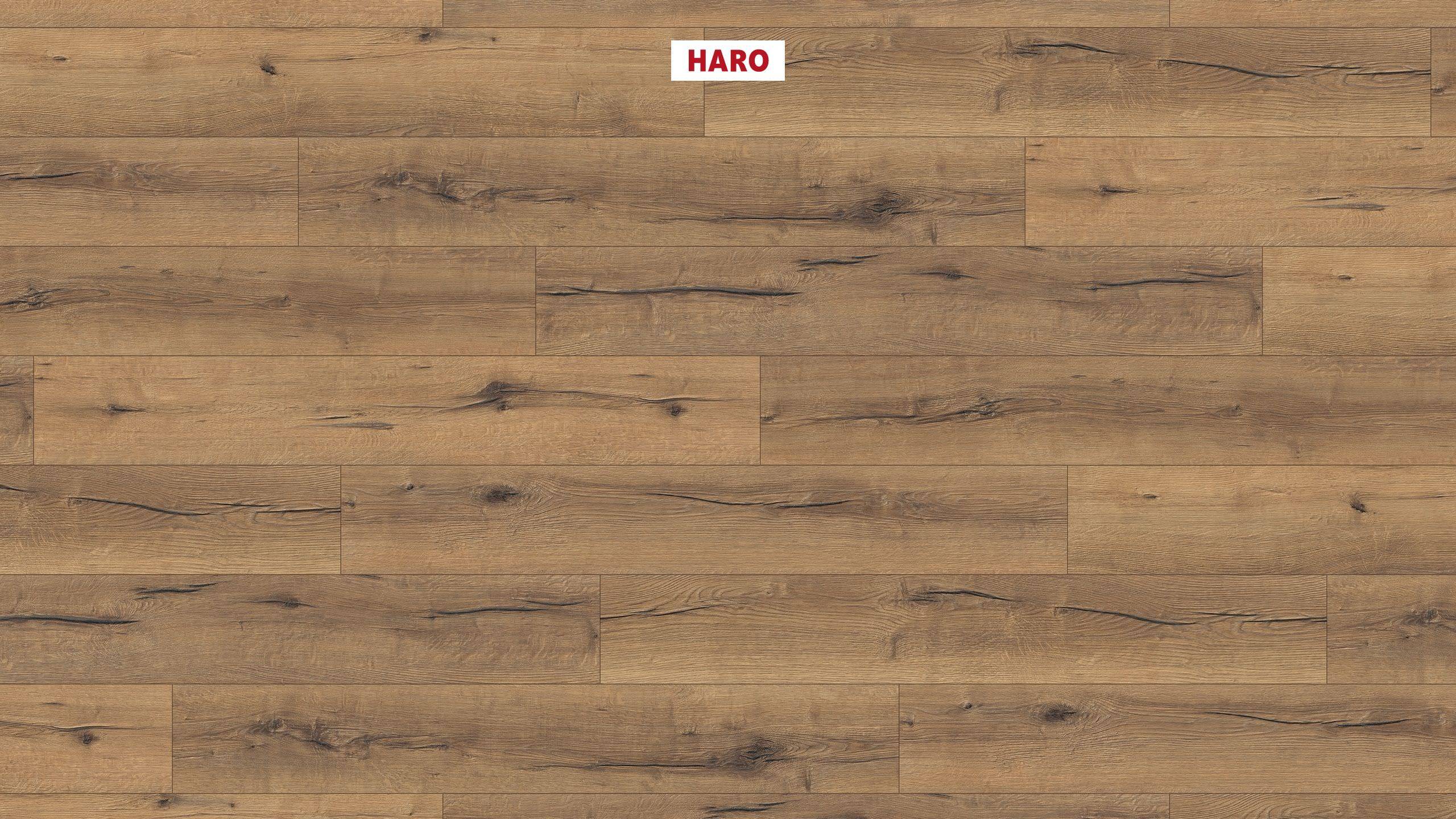 HARO Laminate Floor TRITTY 100 Plank 1-Strip 4V Oak Italica Nature* authentic Silent Pro Top Connect