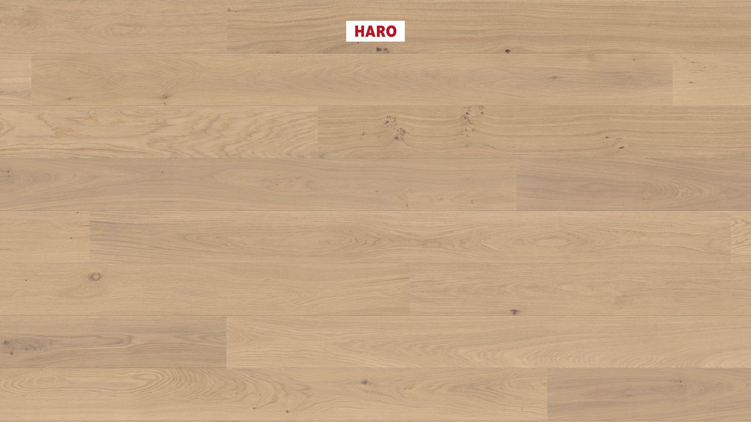 HARO PARQUET 4000 Plank 1-Strip 180 2V Oak Light White Markant brushed permaDur Top Connect