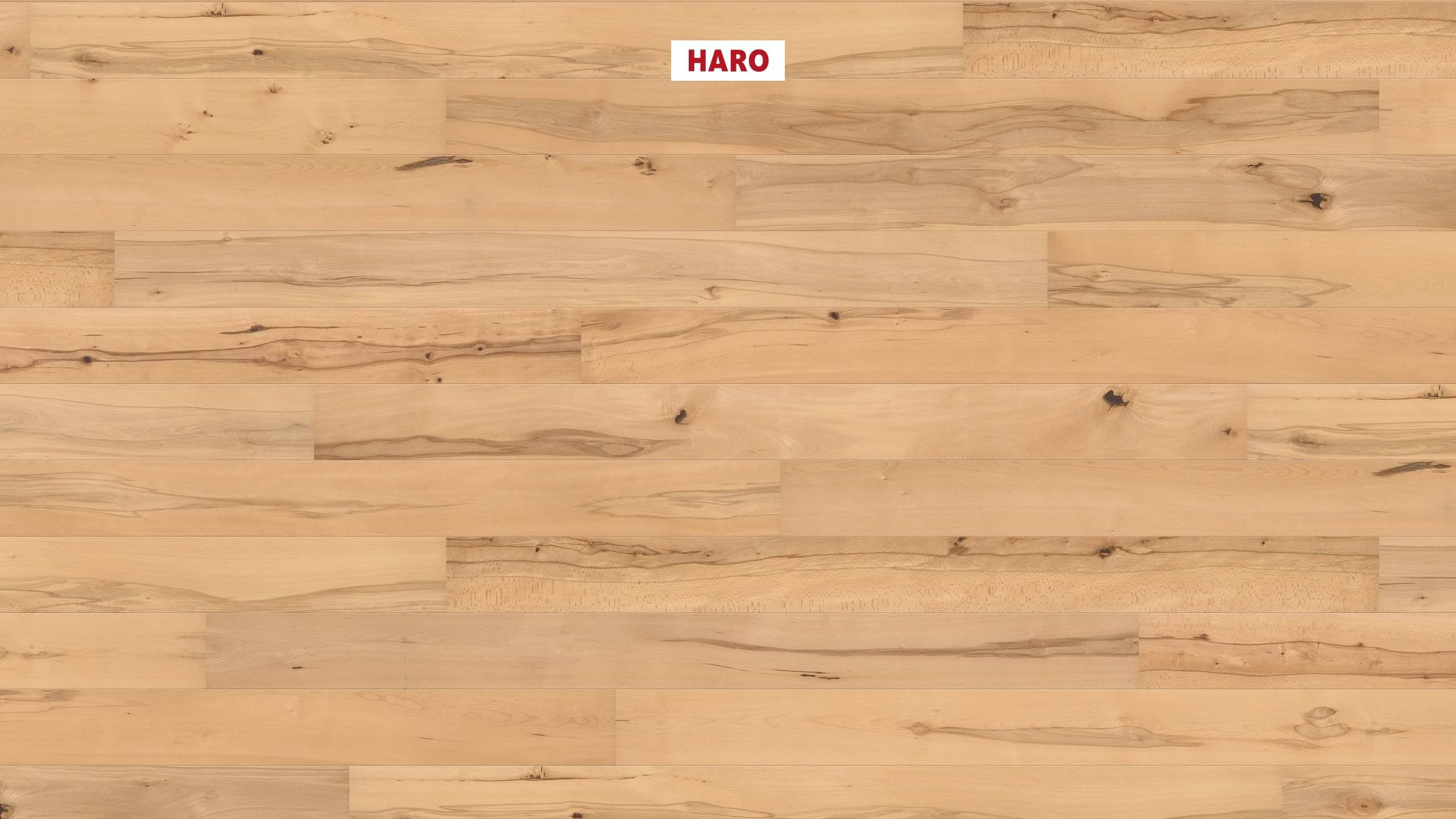 HARO PARQUET 4000 Plank 1-Strip 180 2V Beech steamed Universal naturaDur Top Connect