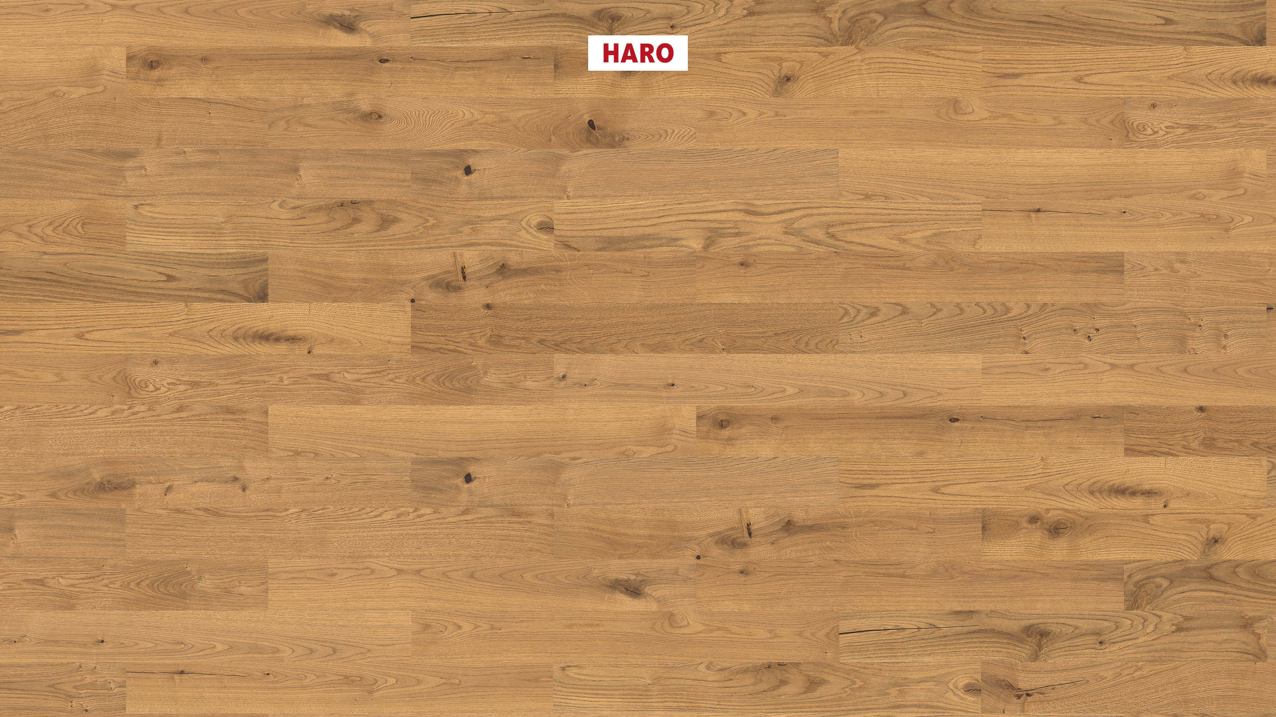HARO PARQUET 4000 Plank 1-Strip Prestige Oak Sauvage brushed naturaDur Tongue and Groove
