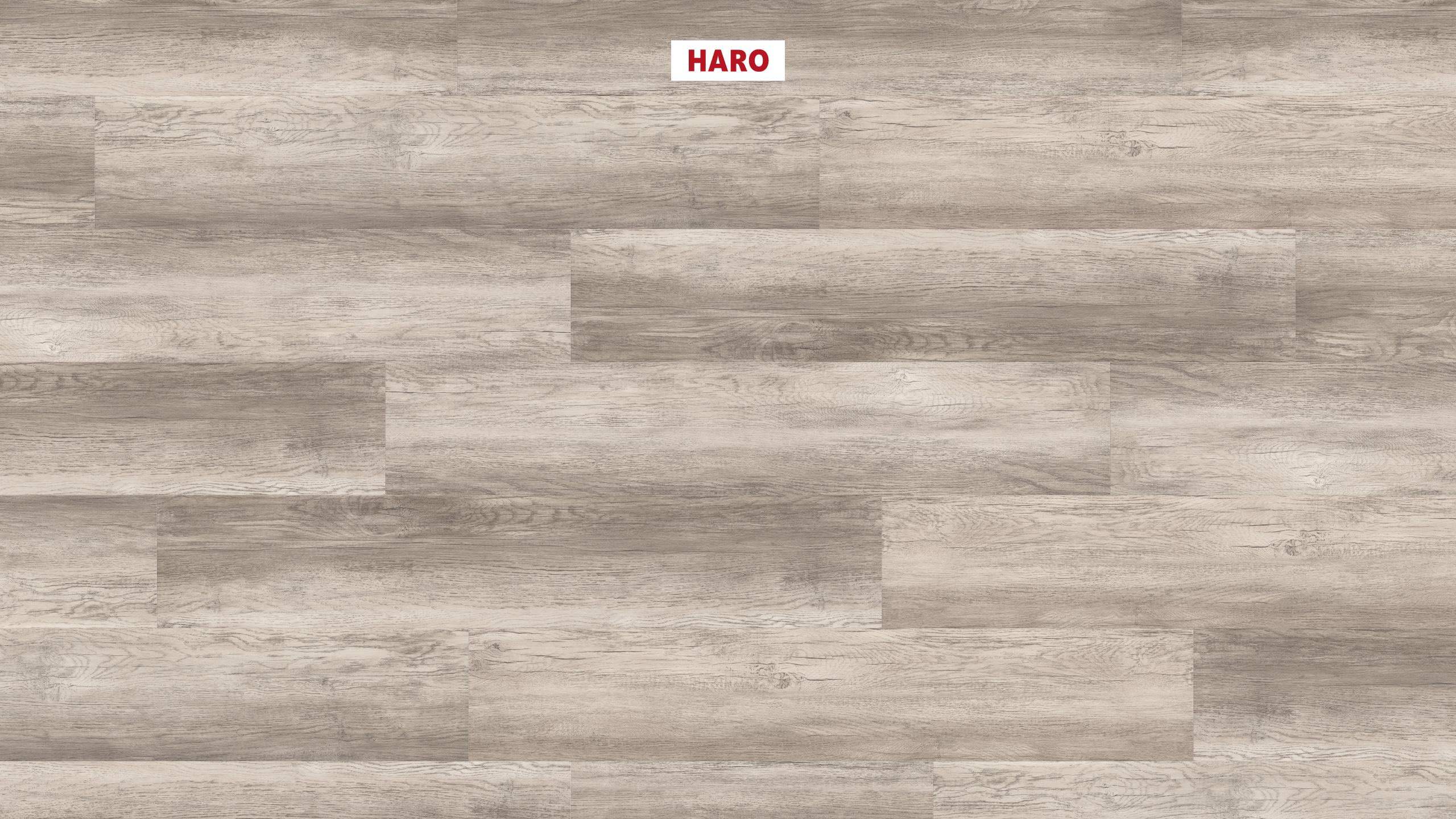 DISANO by HARO Saphir Plank 1-Strip 4VM Country Oak Grey* rustic textured Top Connect