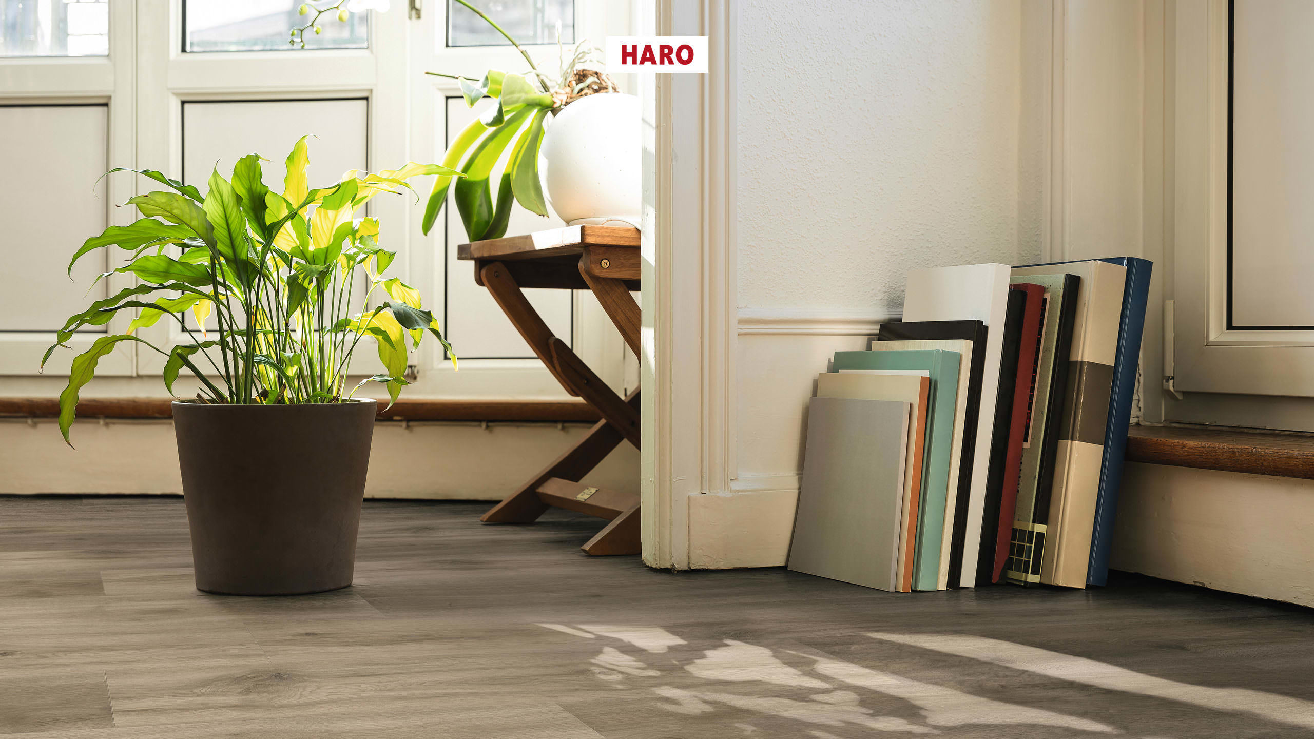 DISANO by HARO Saphir Plank 1-Strip 4VM Oak Provence Creme* authentic Top Connect