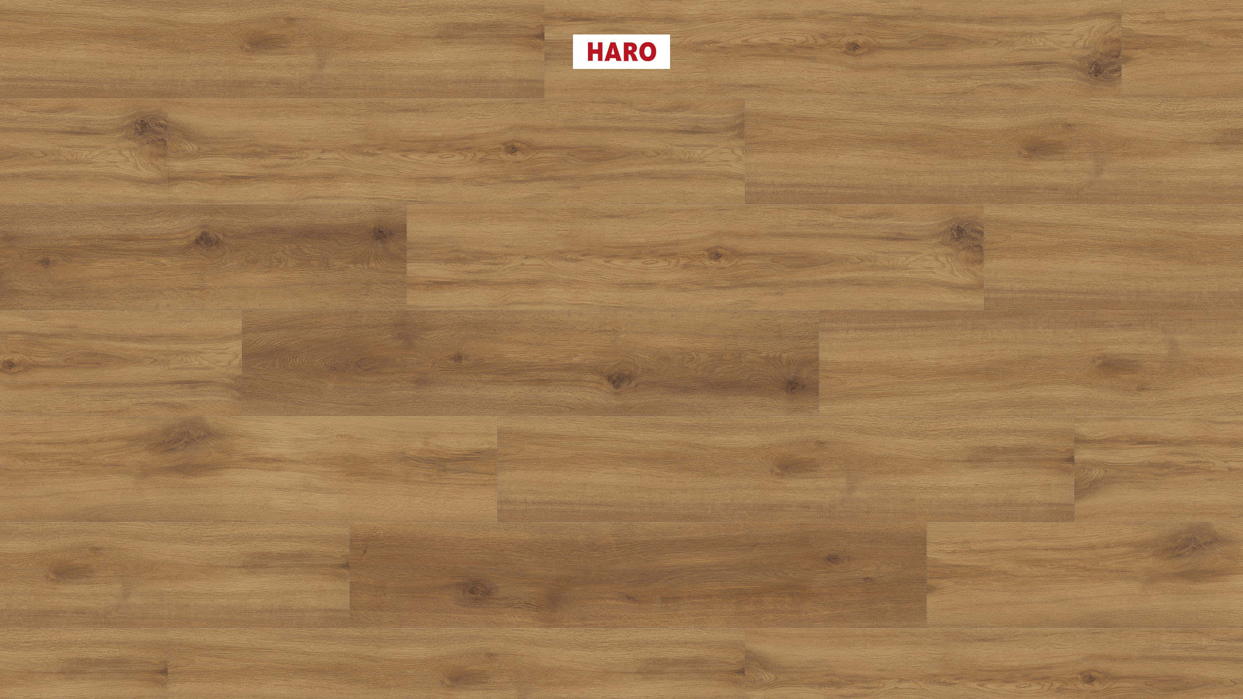 DISANO by HARO Saphir Plank 1-Strip 4VM Oak Provence Nature* authentic Top Connect