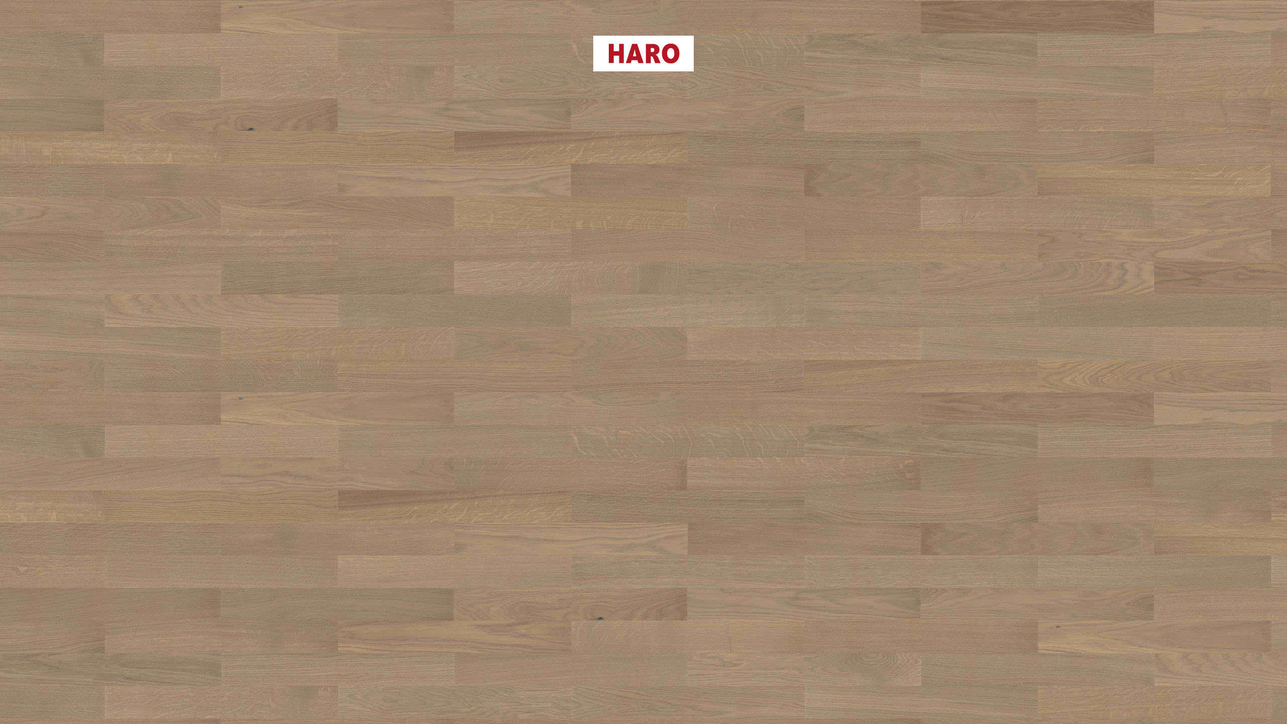 HARO PARQUET 4000 Strip Allegro Oak Sand Grey Trend naturaDur Tongue and Groove