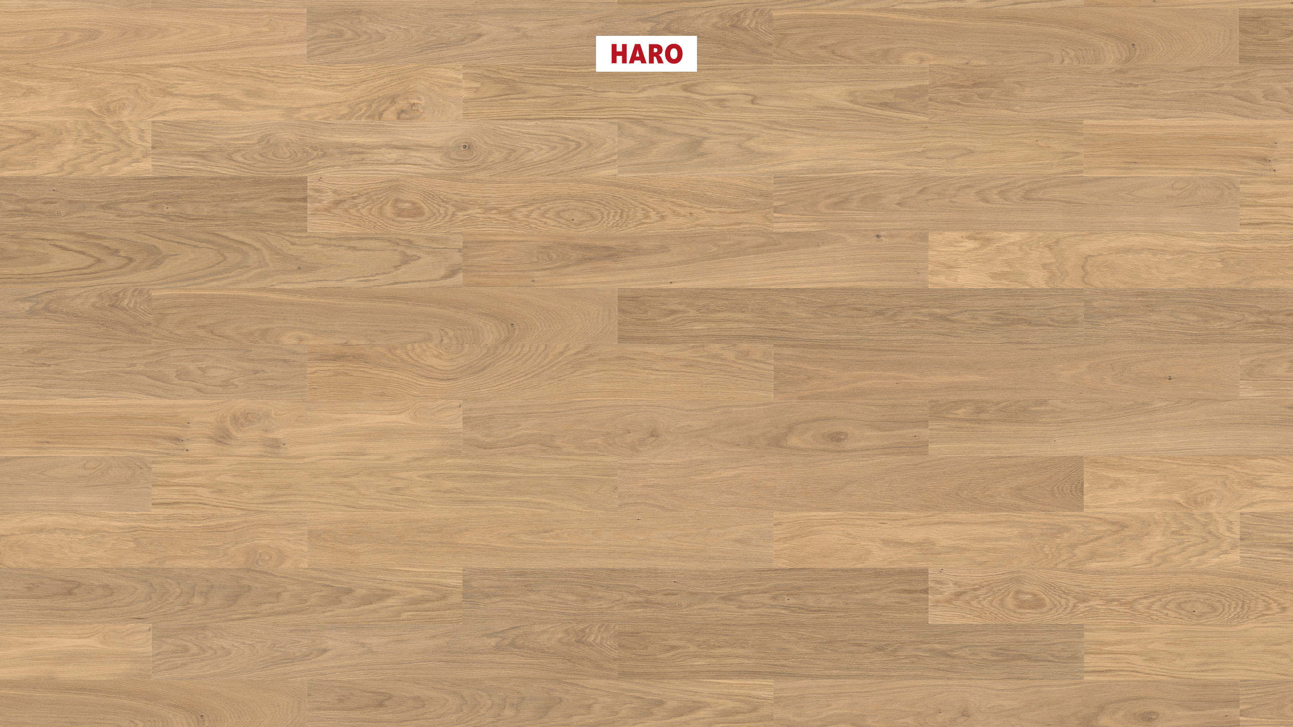 HARO PARQUET 4000 Plank 1-Strip Prestige Oak Light White Markant brushed naturaDur Tongue and Groove