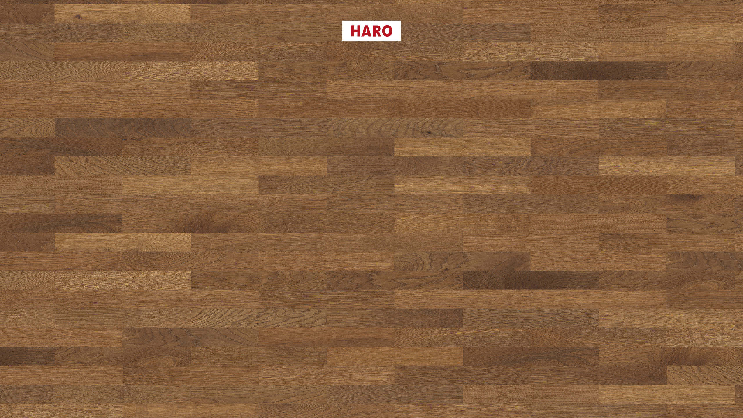 HARO PARQUET 4000 Strip Allegro Amber Oak brushed naturaLin plus Tongue and Groove
